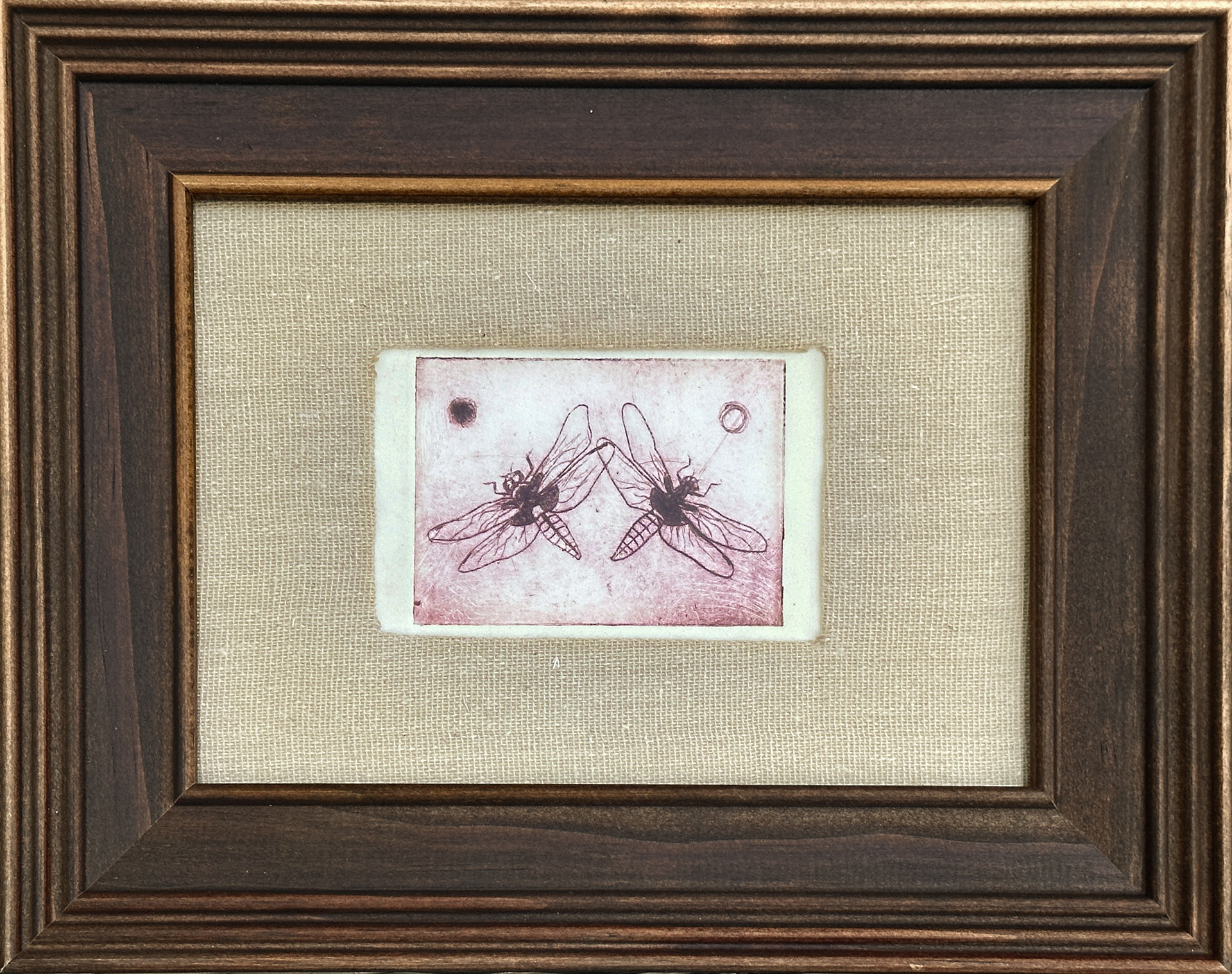 Dragonfly Drypoint Etching 