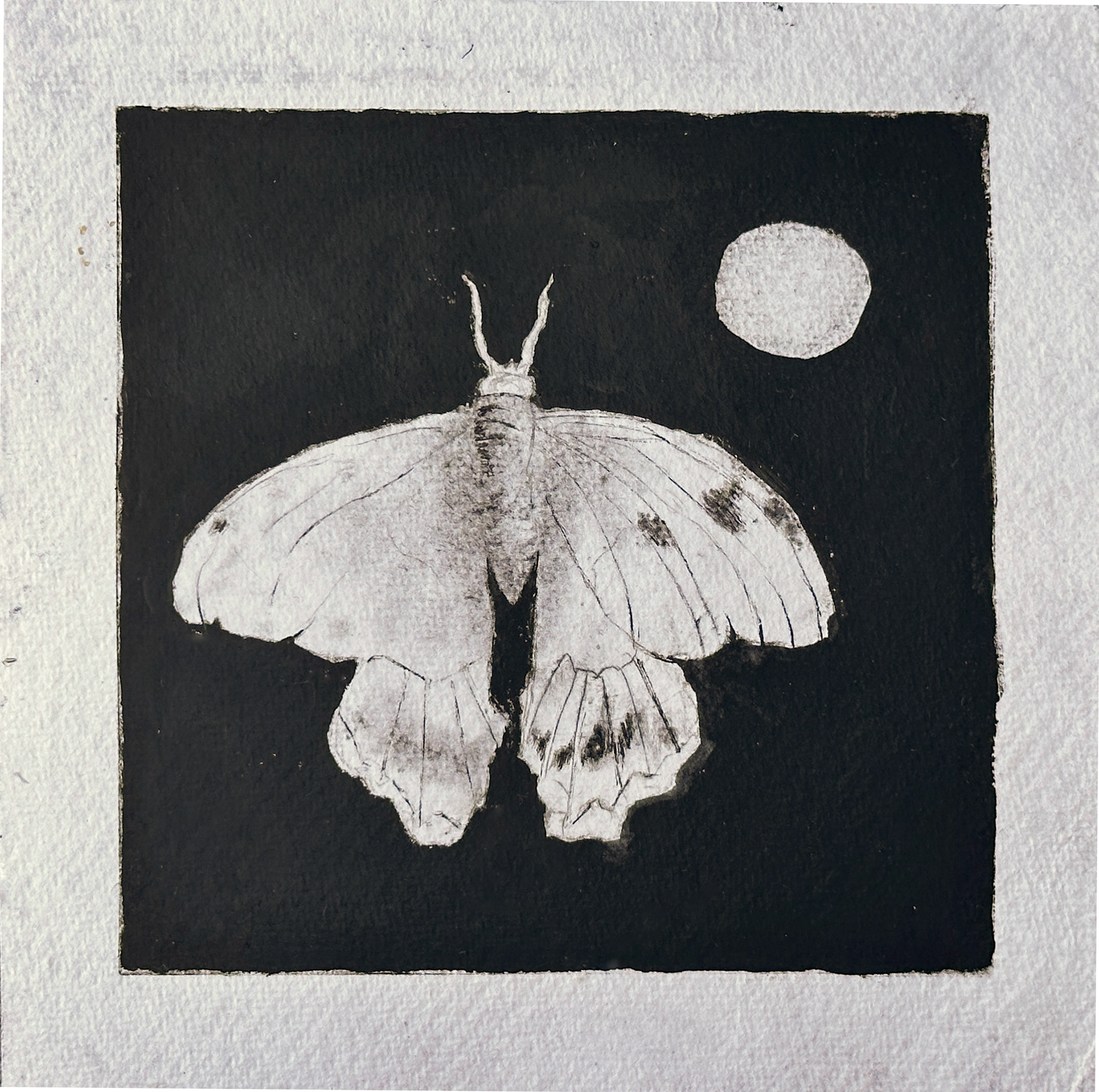  Monotype