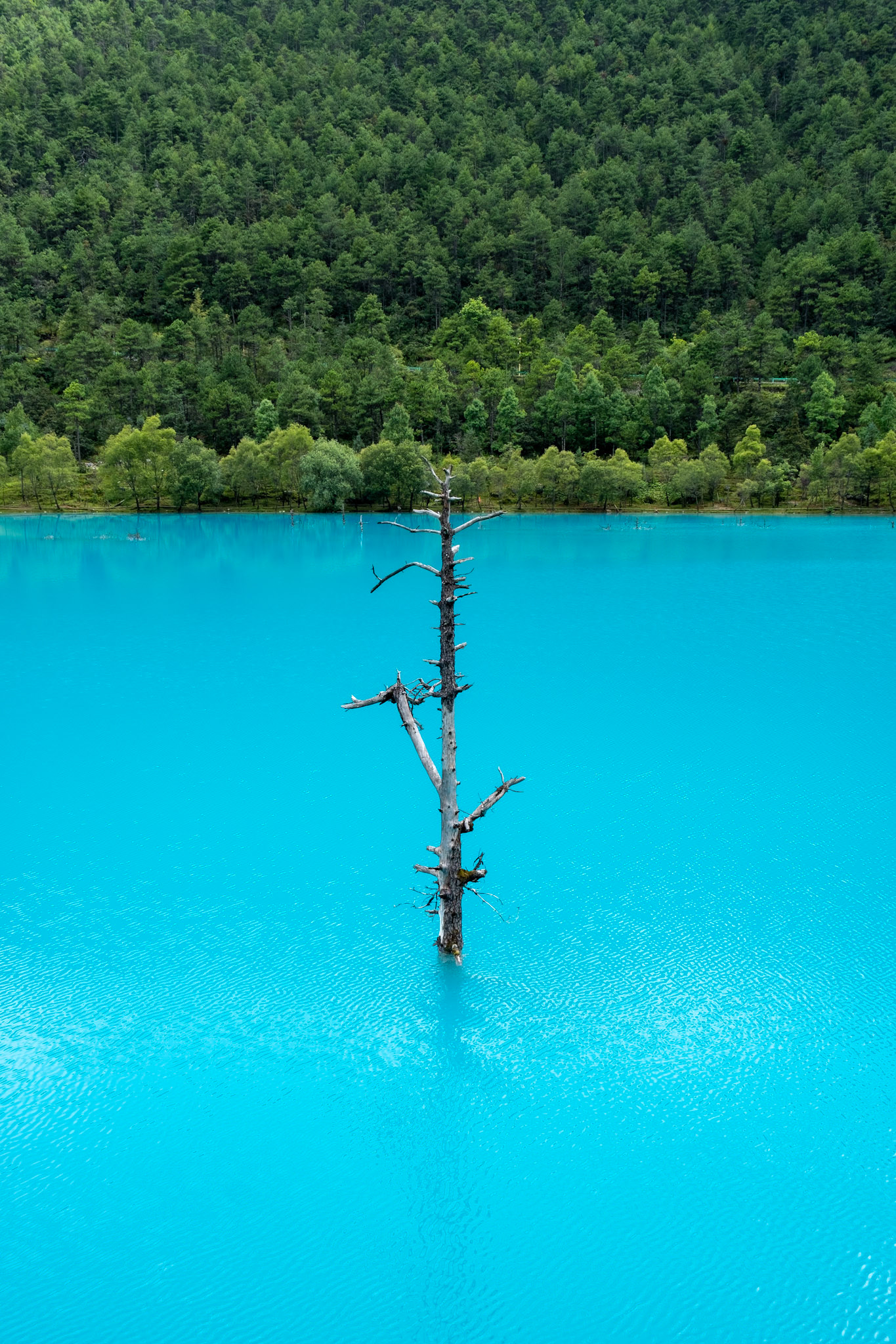 Blue Moon Lagoon