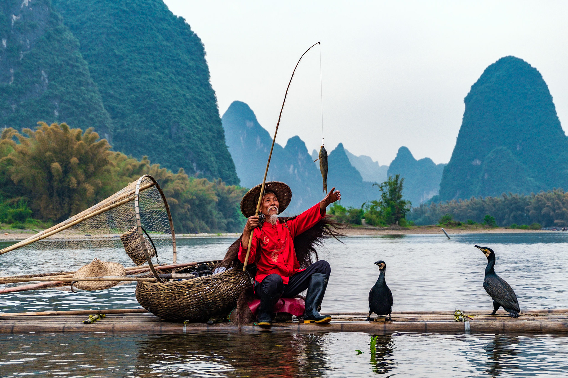 Cormorant Fisherman 1