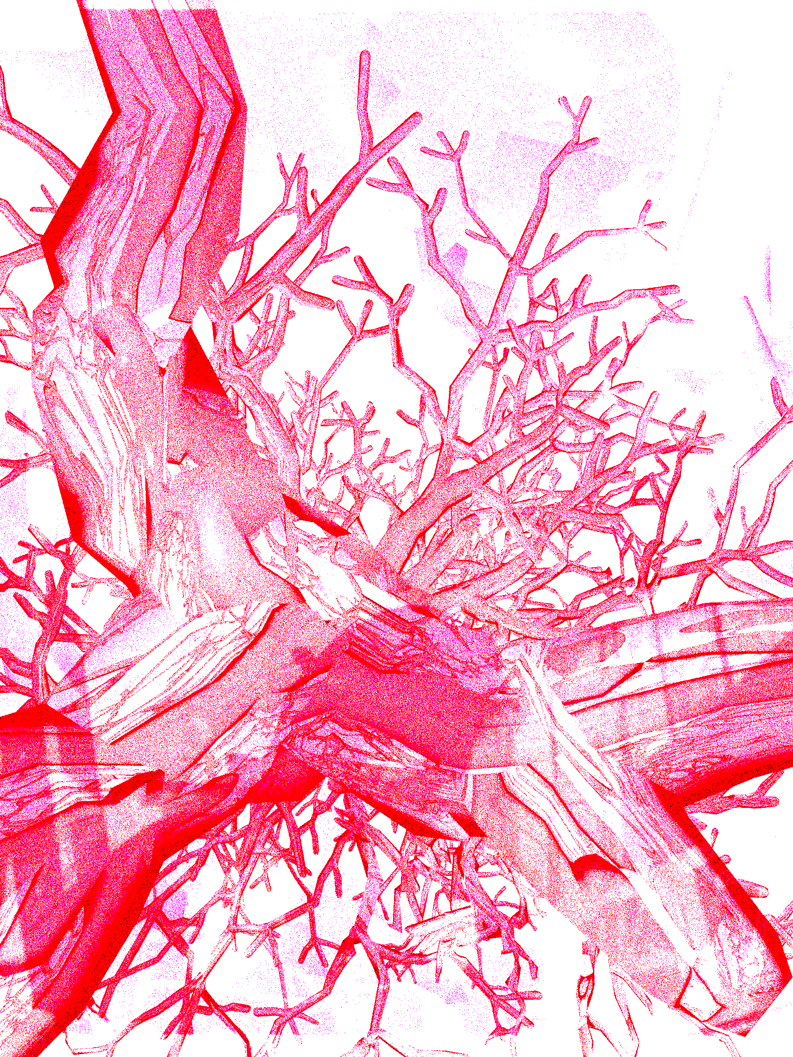 tree from underneath, 3d-visualisation, nomad sculpt, 2024