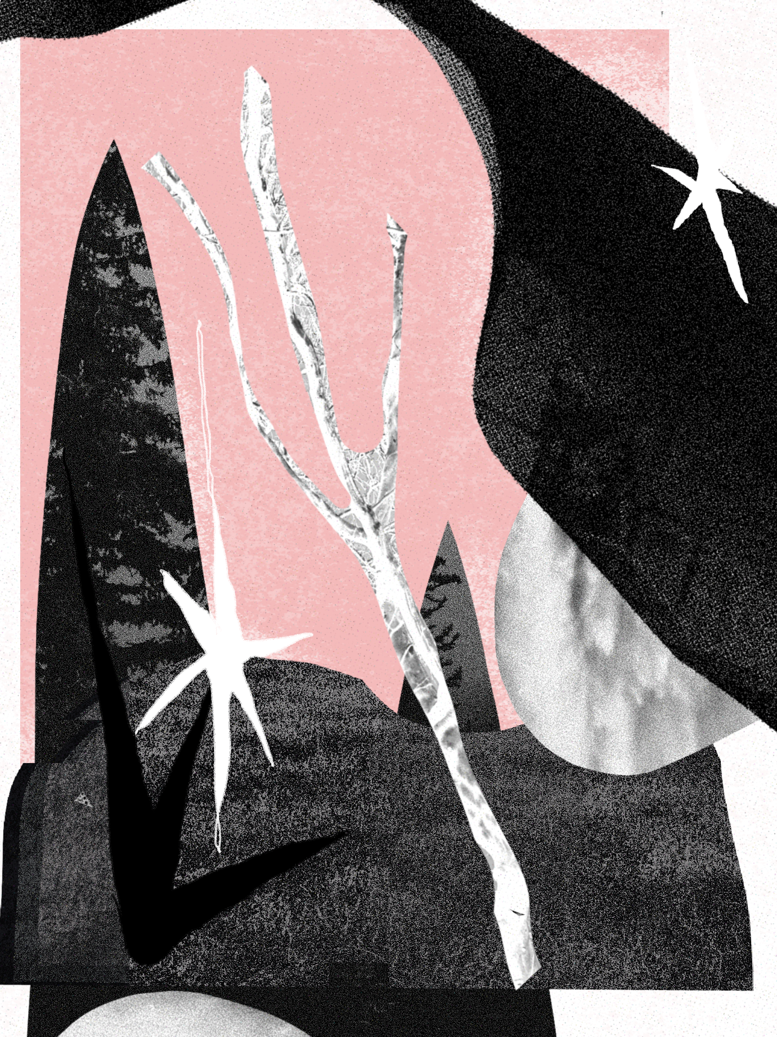 sentient garden, collage, 2023