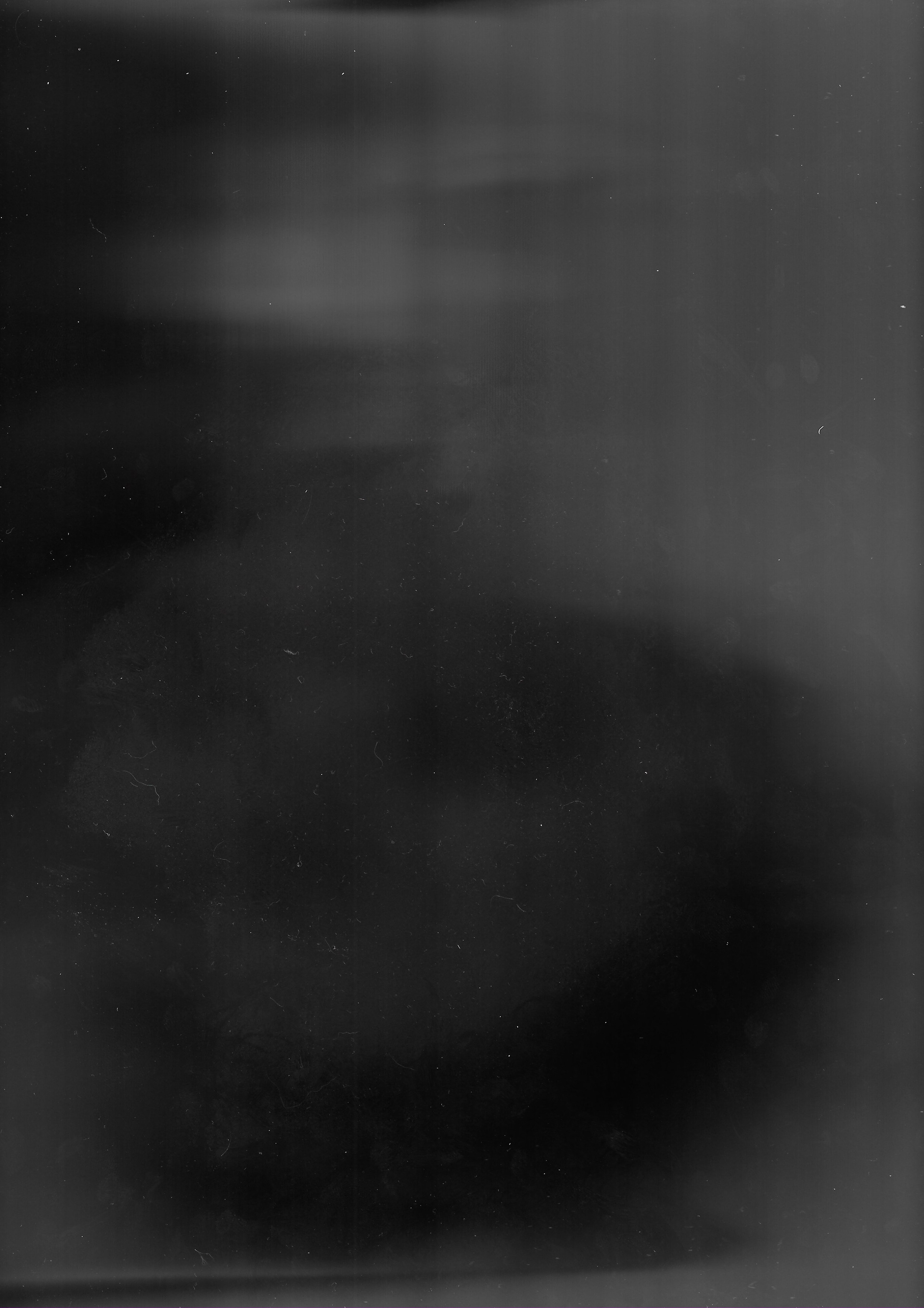scan, 2024