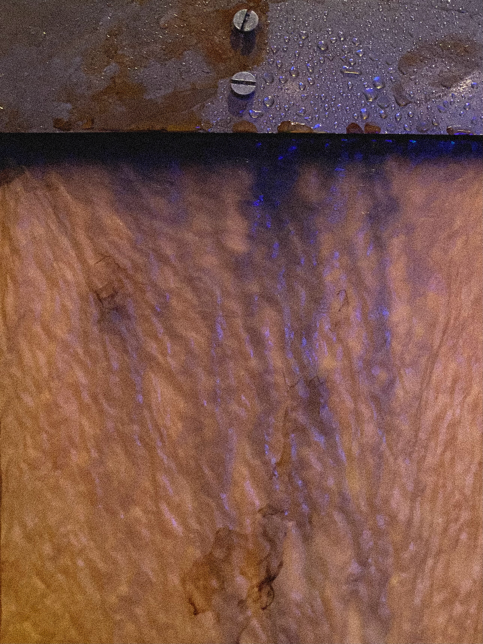 In collaboration with Pareidolia, we created an interactive installation featuring a Kombucha pellicle suspended from a metal framework. Connected to alligator clips and integrated with Adobe Max, the piece generates sound upon touch, transforming organic material into a responsive sonic experience.