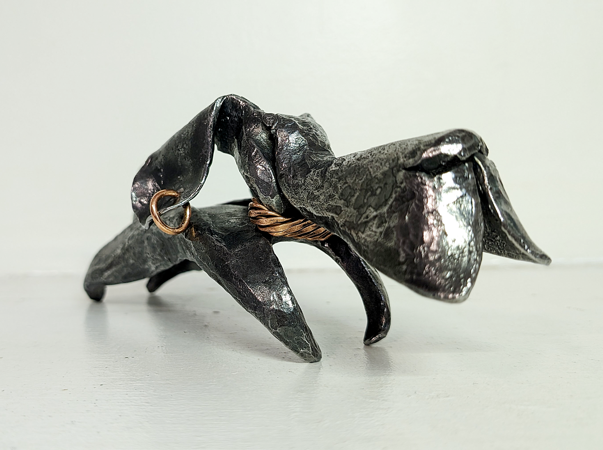 The Dog with a Ring, by Oleksandr Tyndyk