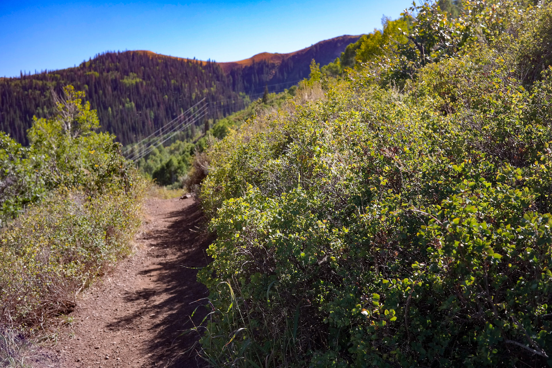 © Jim Owens