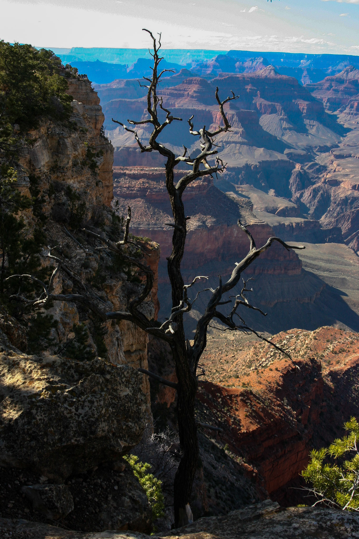 © Jim Owens