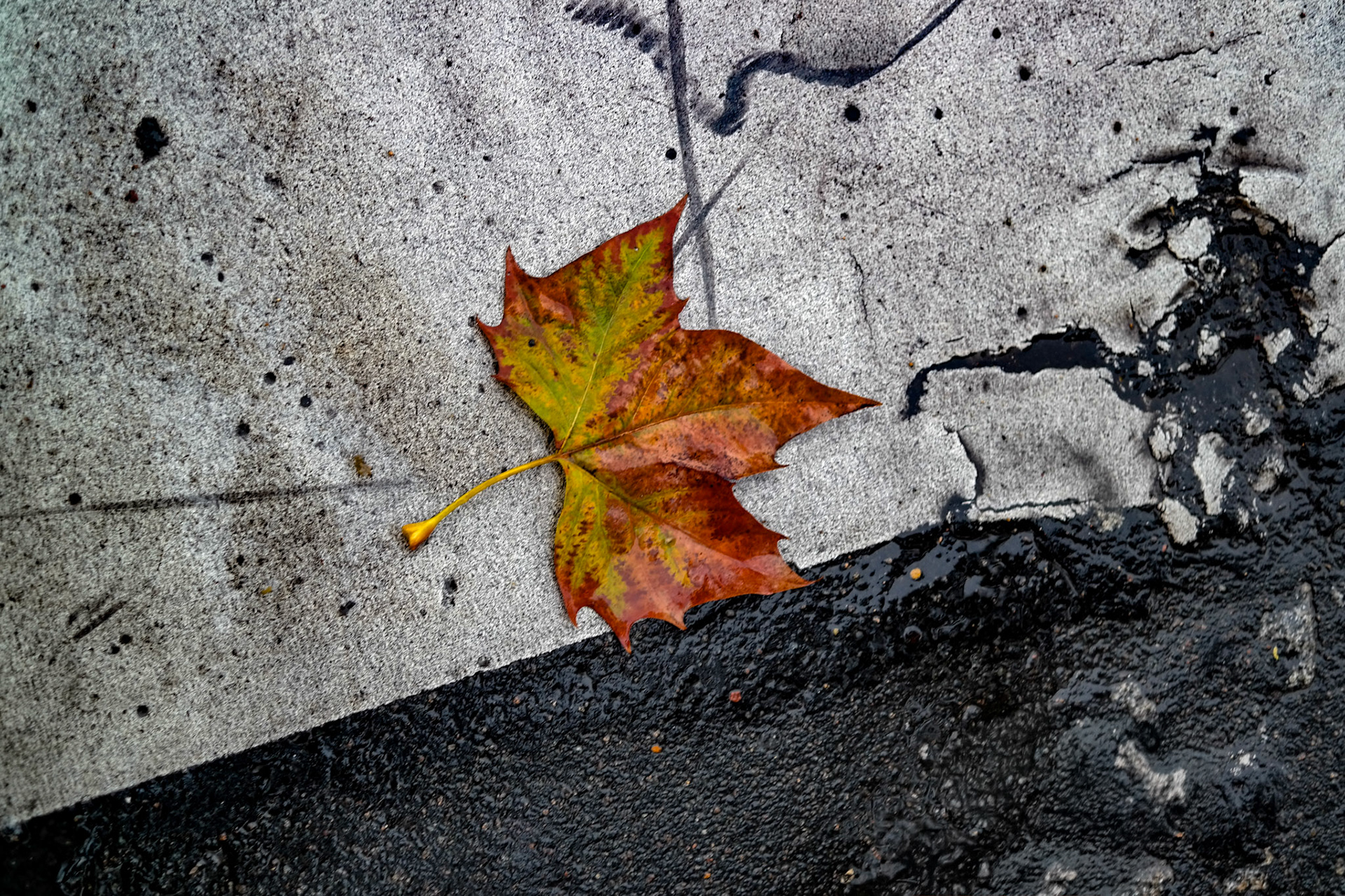 © Jim Owens
