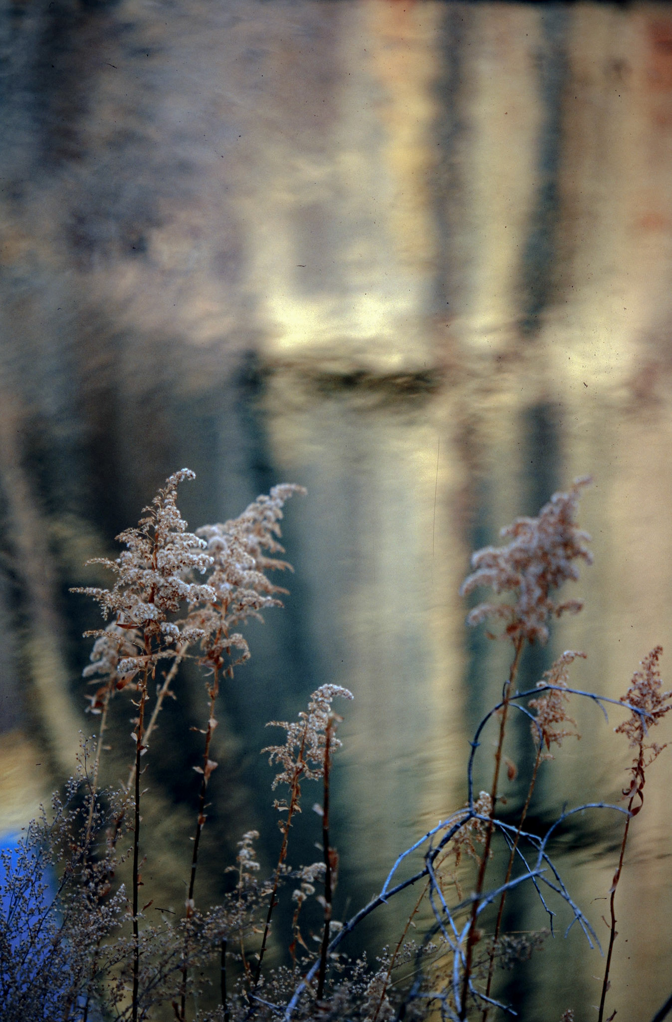 © Jim Owens