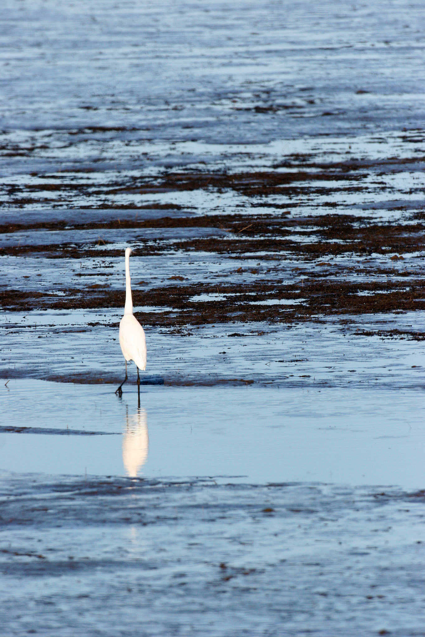 © Jim Owens
