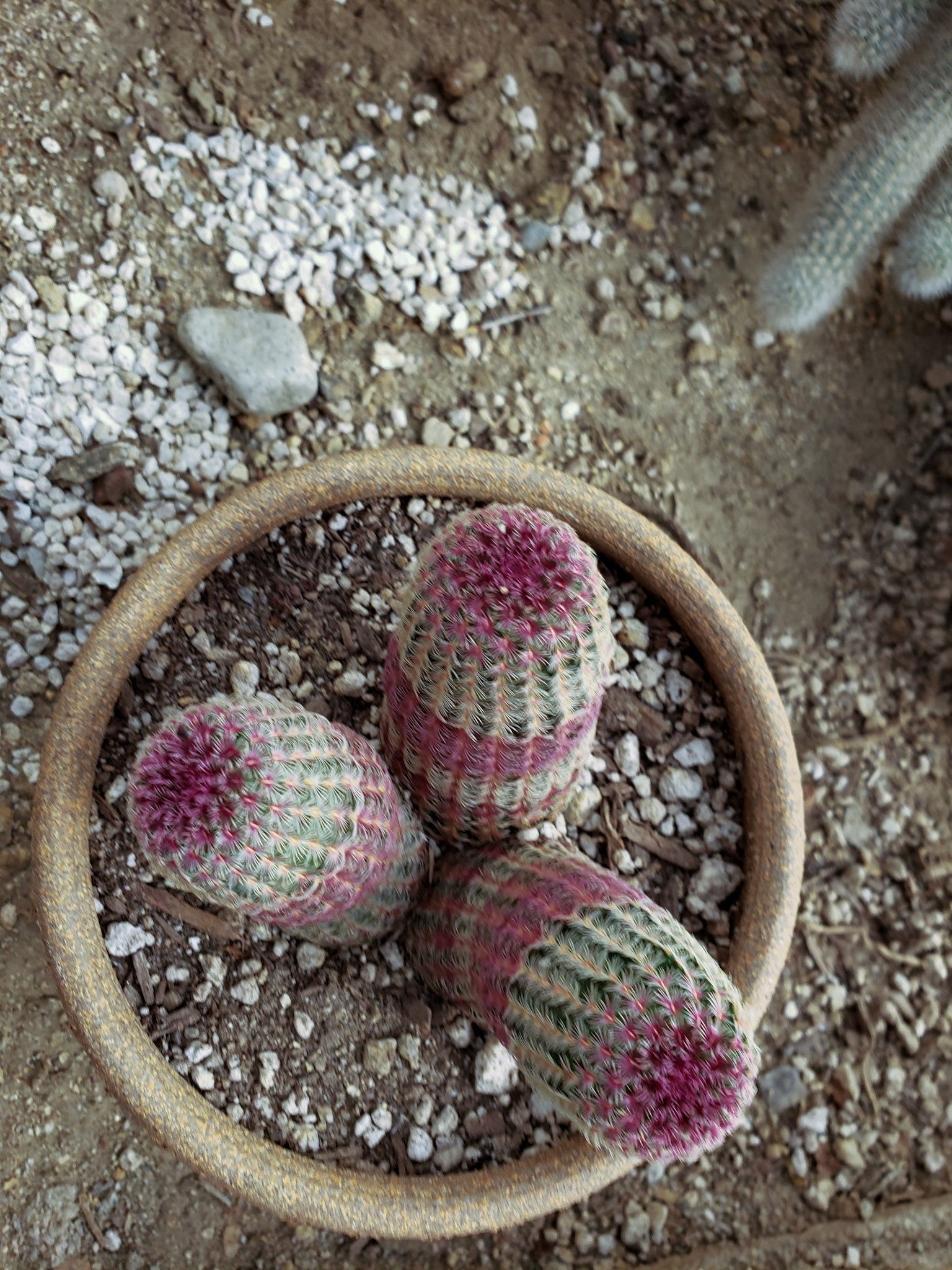 © Jim Owens