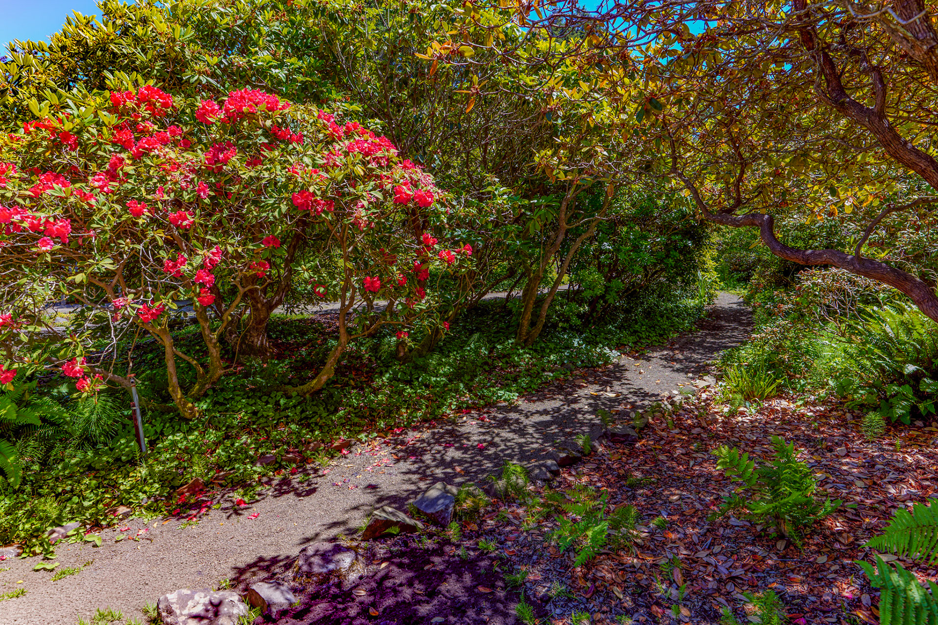 © Jim Owens