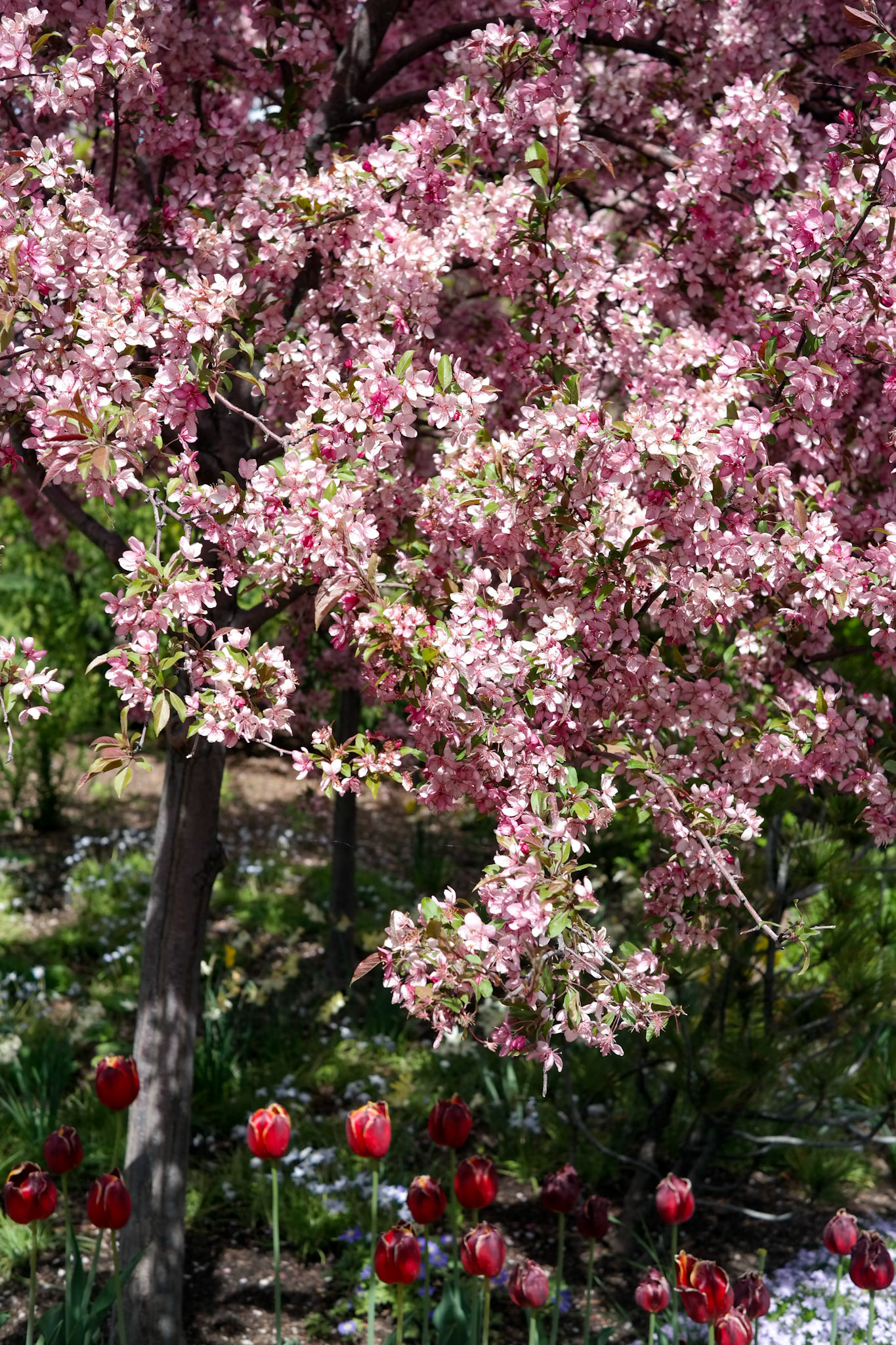 © Jim Owens
