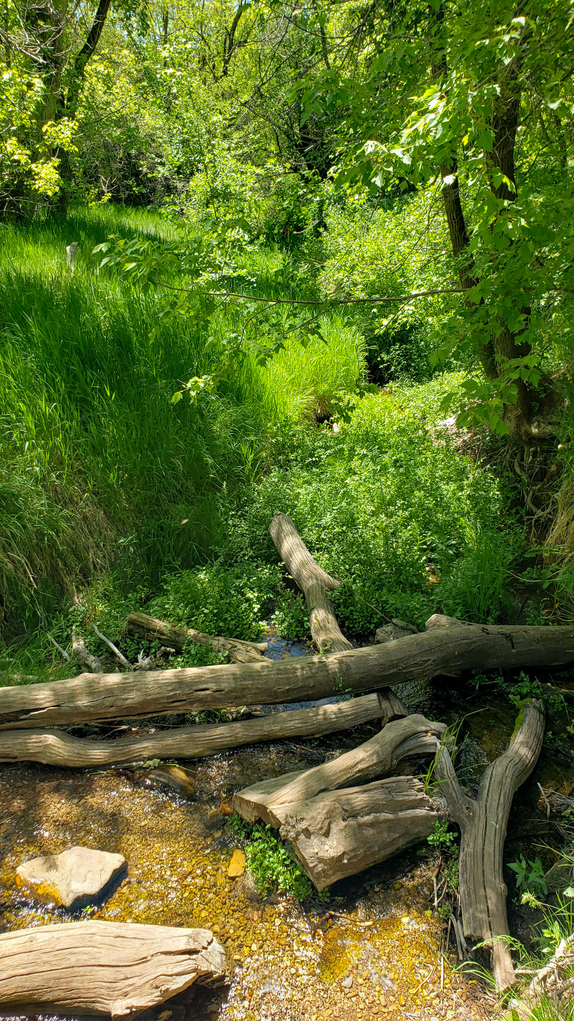 © Jim Owens