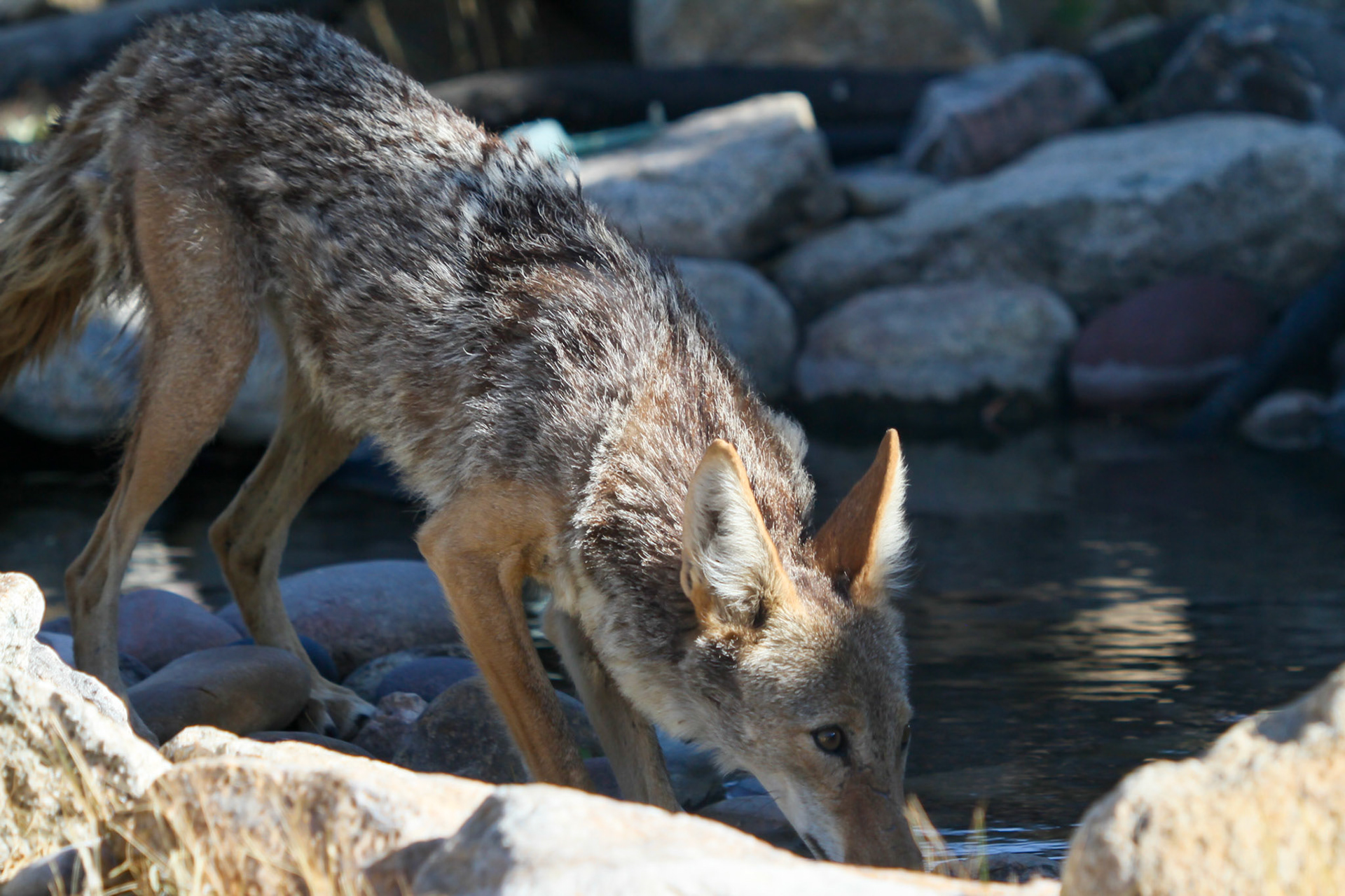 © Jim Owens