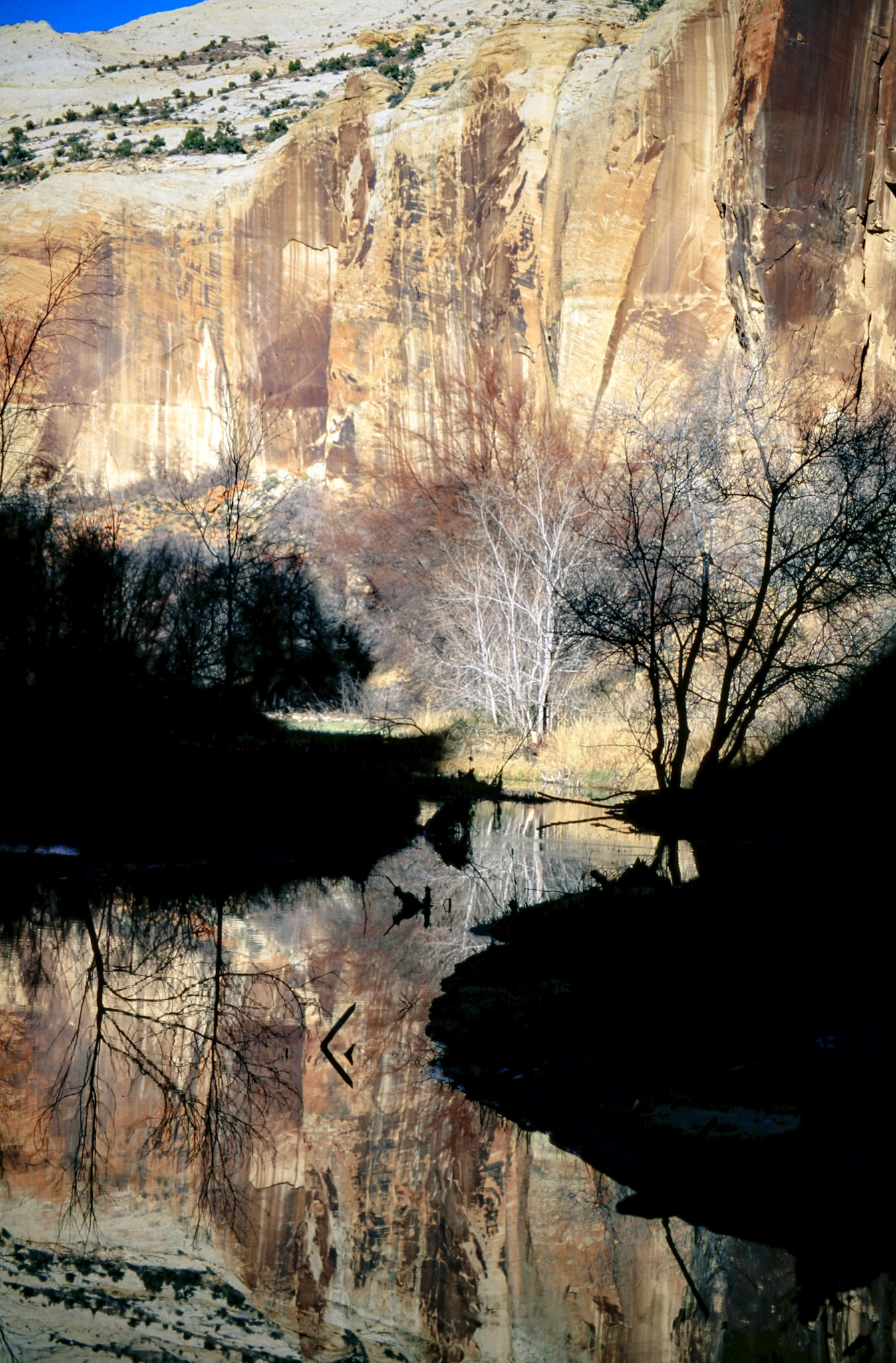 © Jim Owens