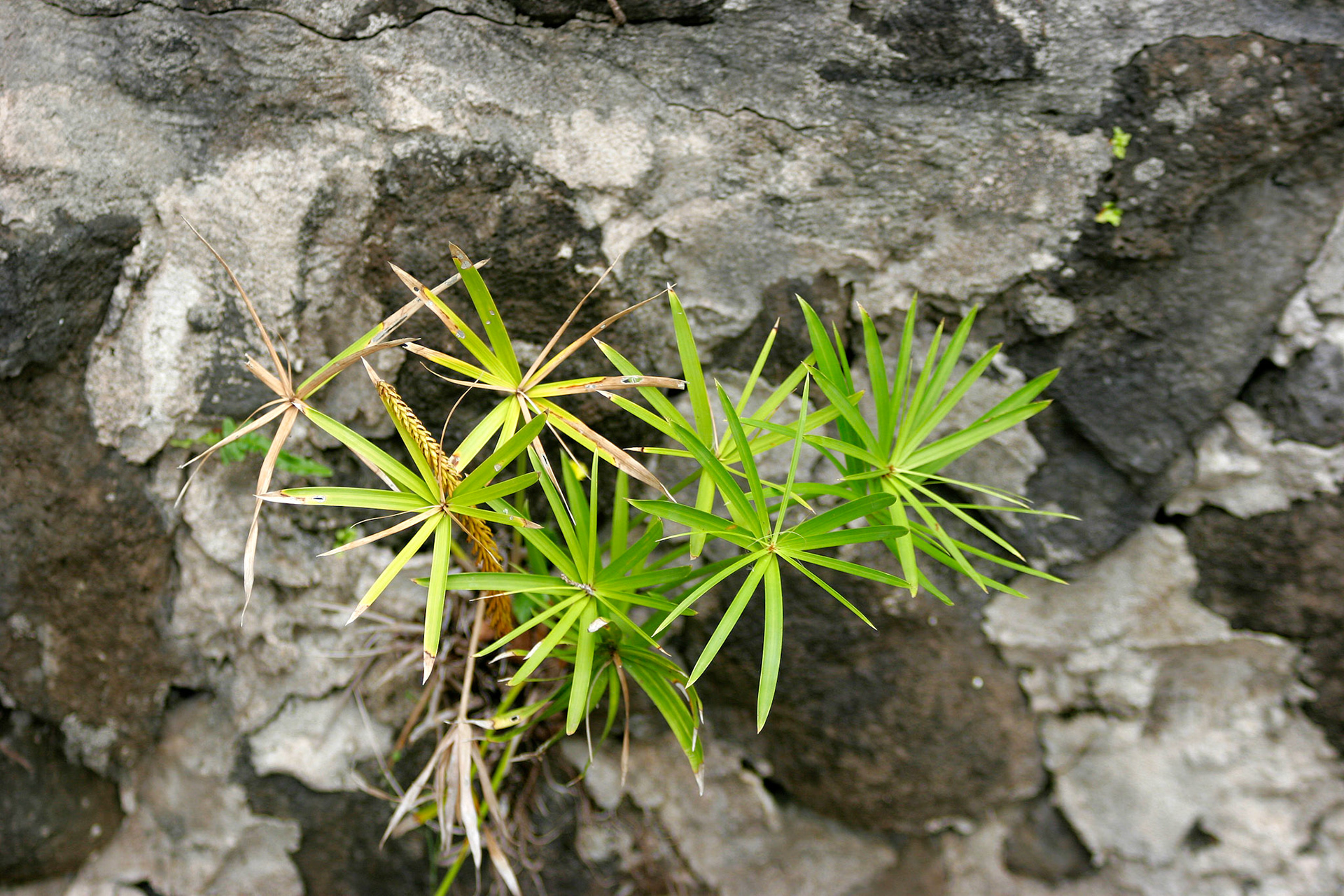 © Jim Owens