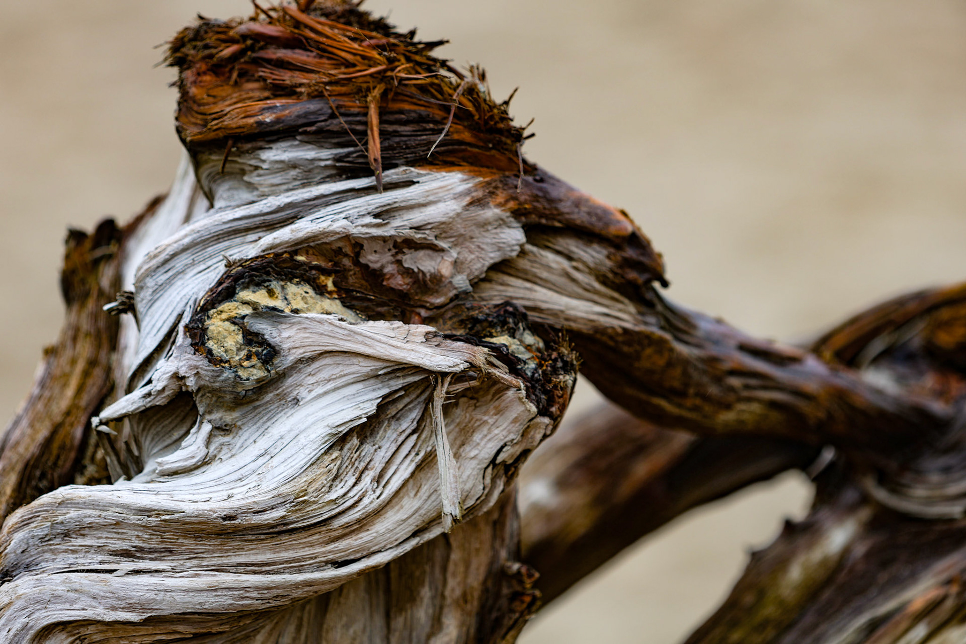 © Jim Owens