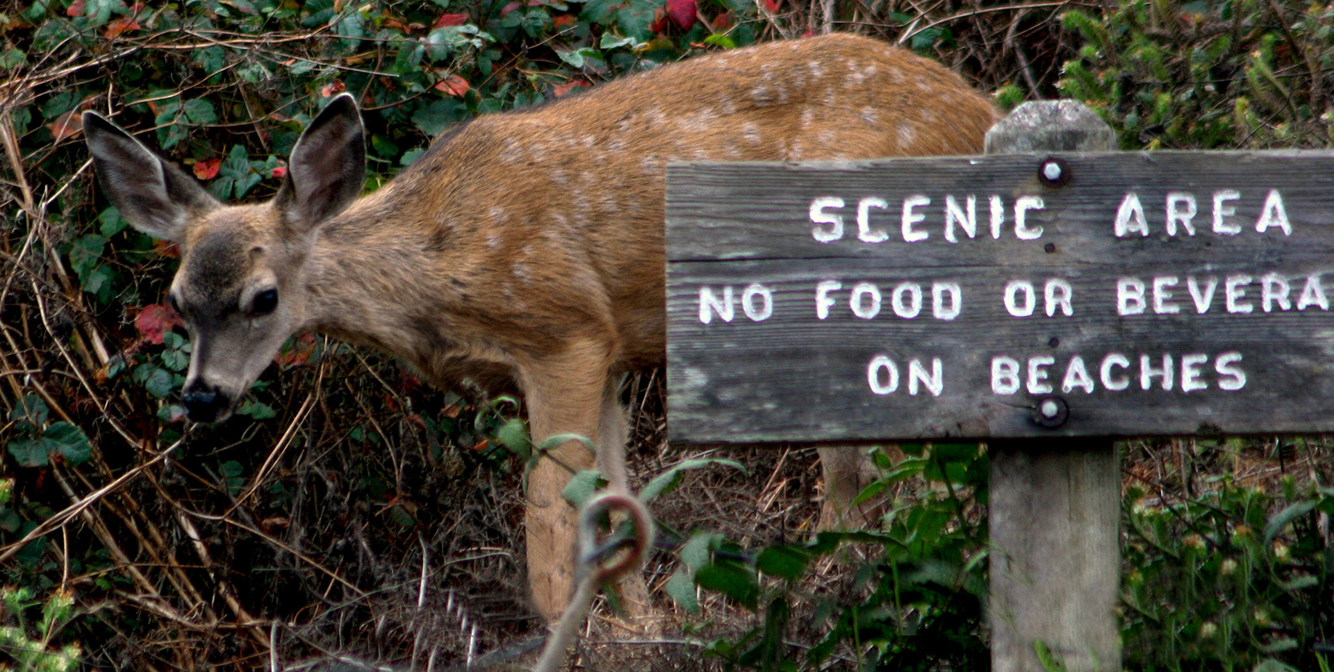 © Jim Owens