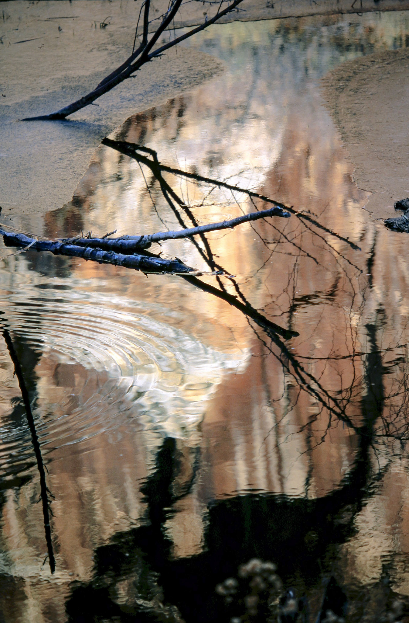 © Jim Owens