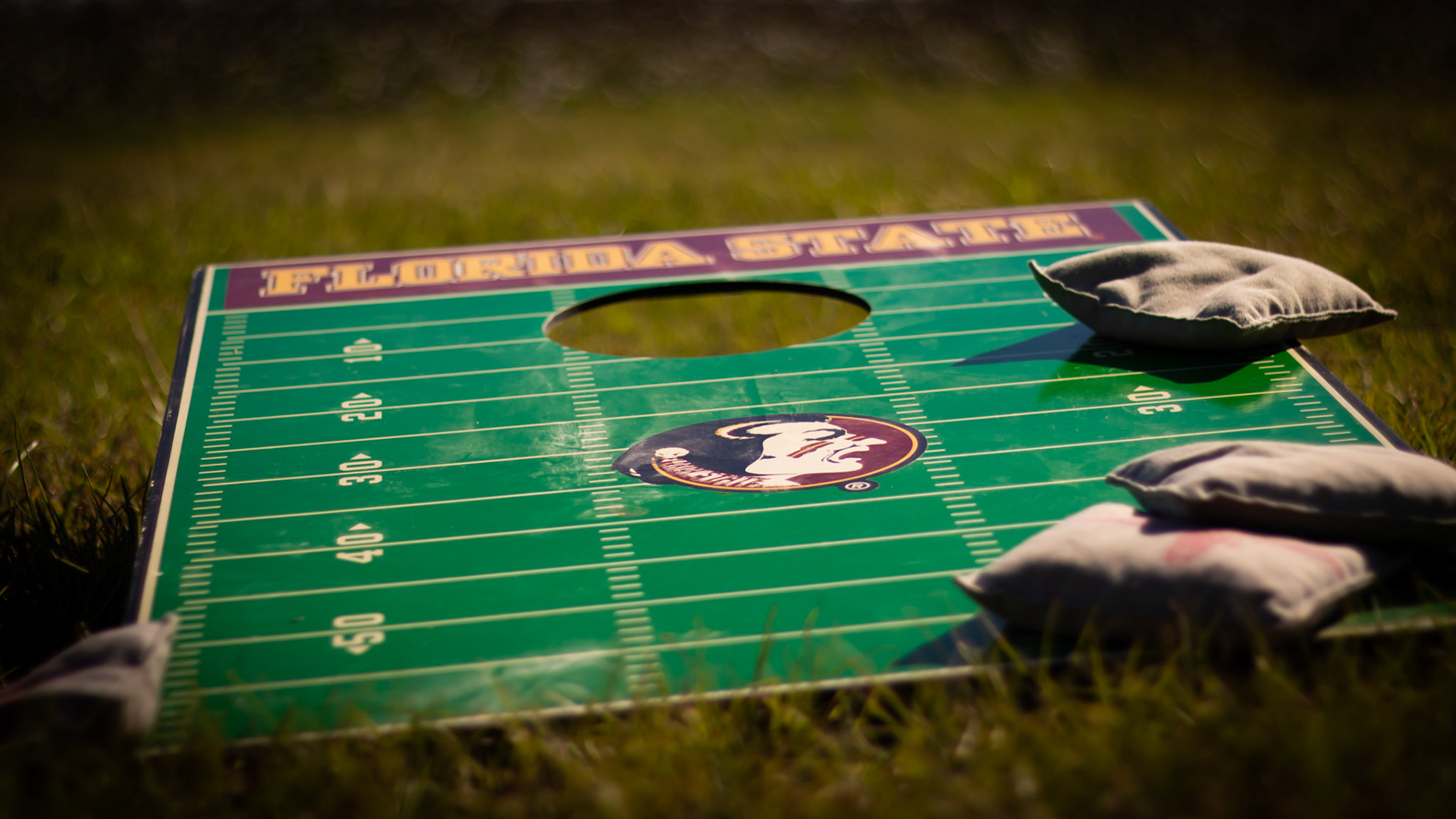 Original Florida State University Logo