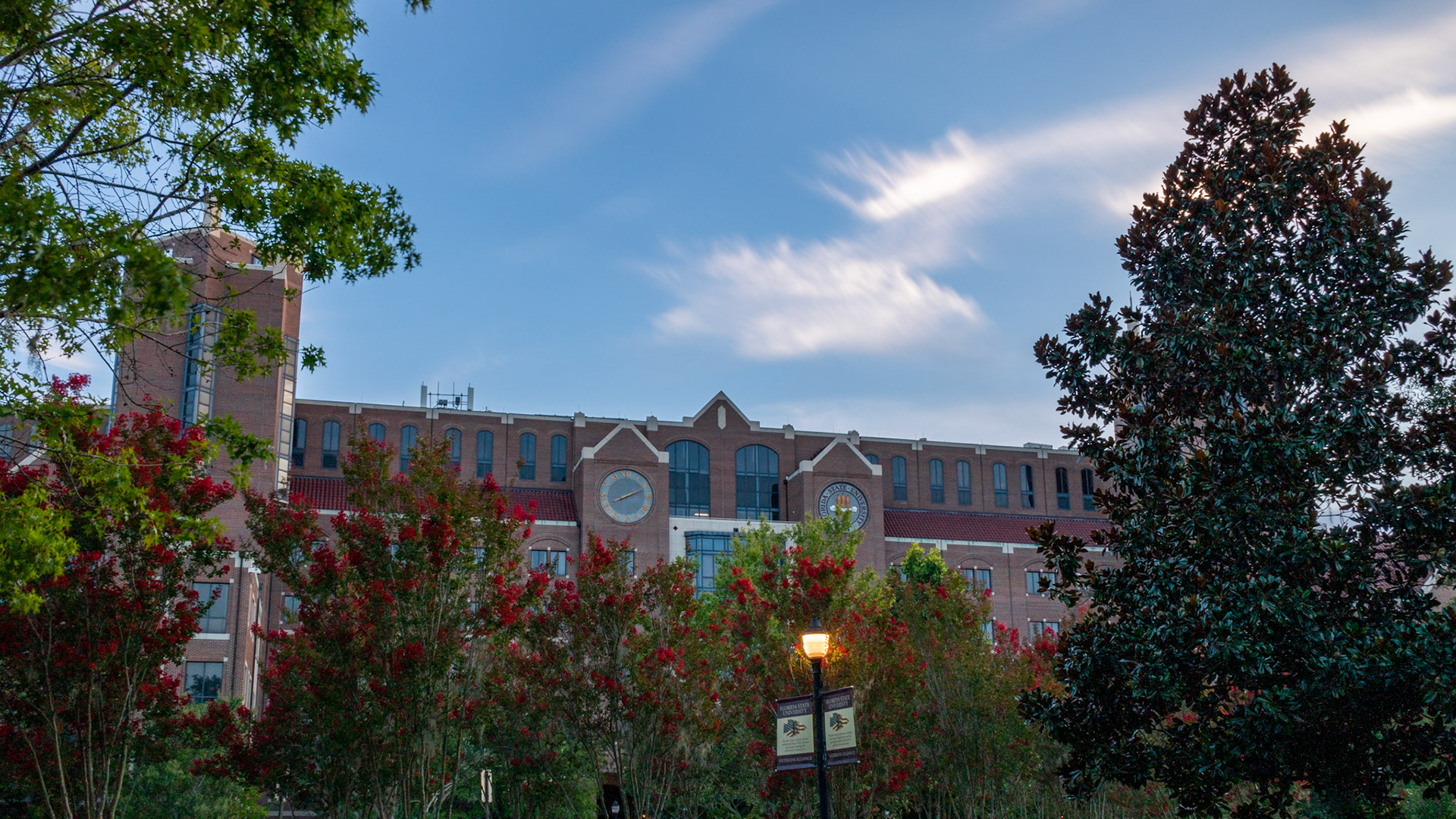 Doak Campbell Stadium Red Flowers