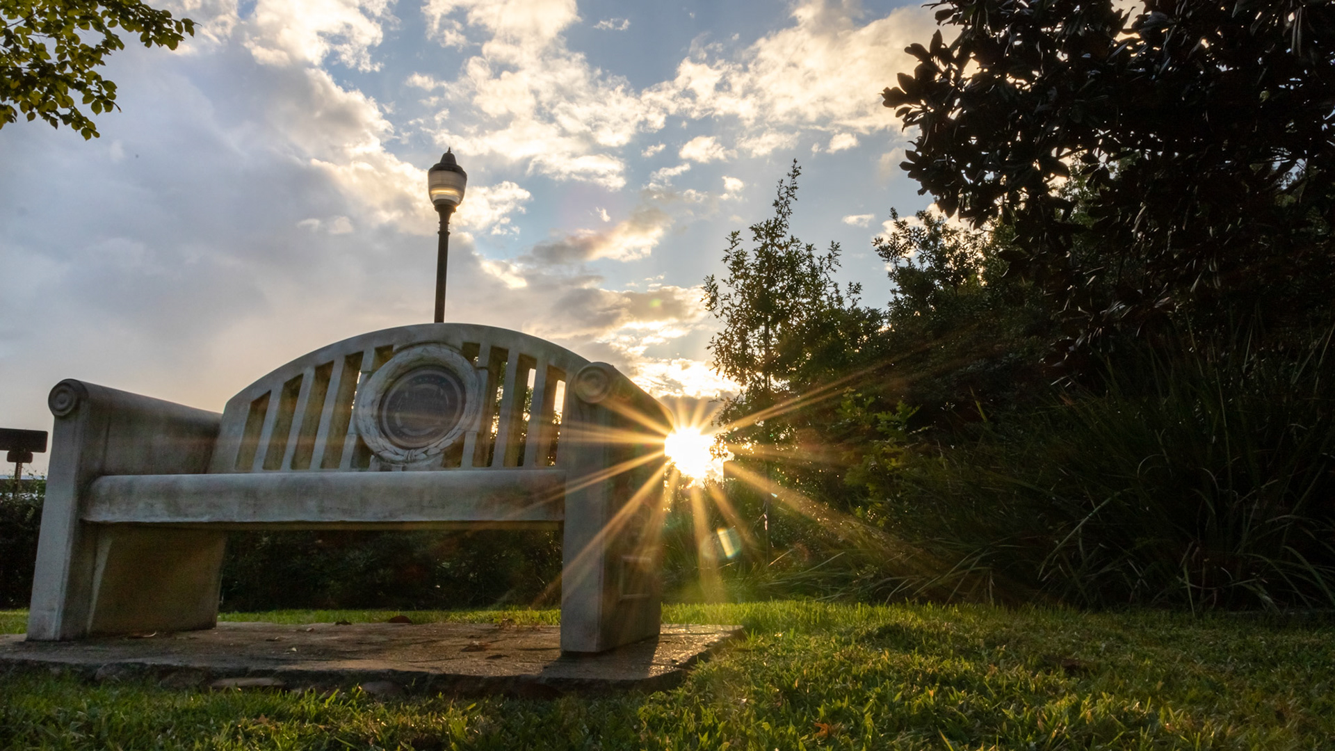 Legacy Walk Bench Sunstar