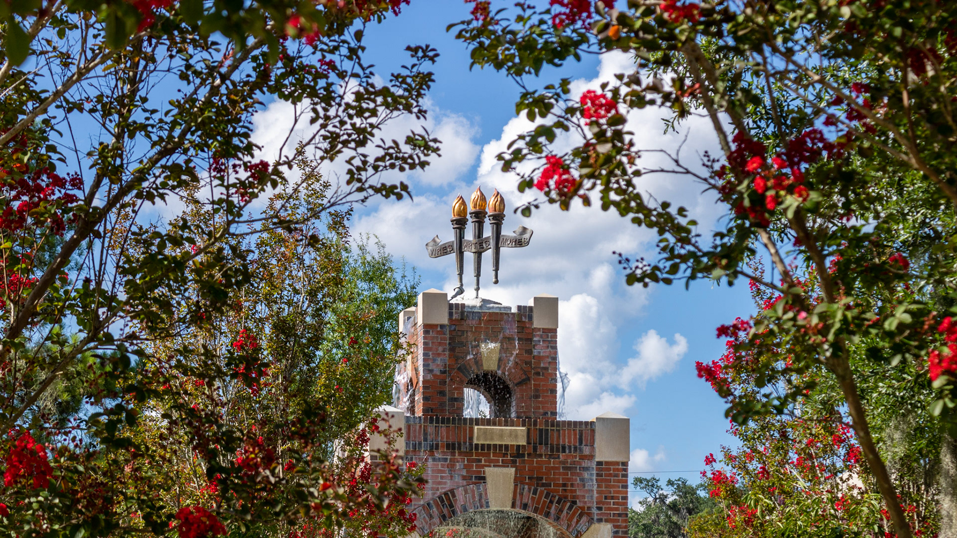 Natural Frame of Vires, Artes, Mores