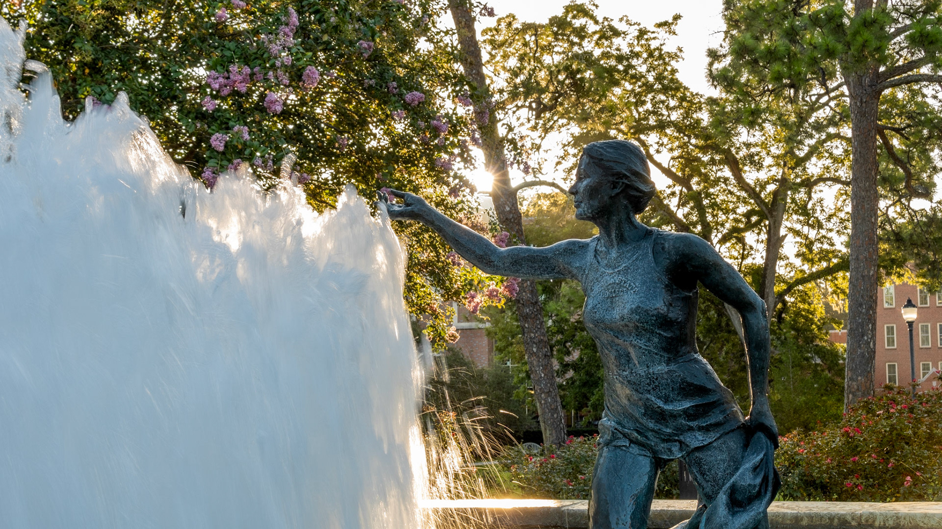 Landis Fountain Sunshine