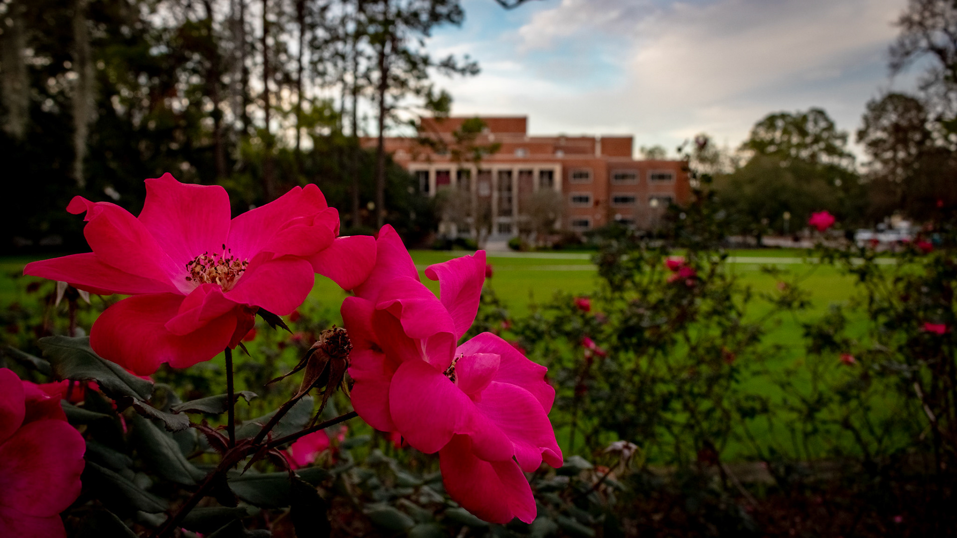 Strozier Library