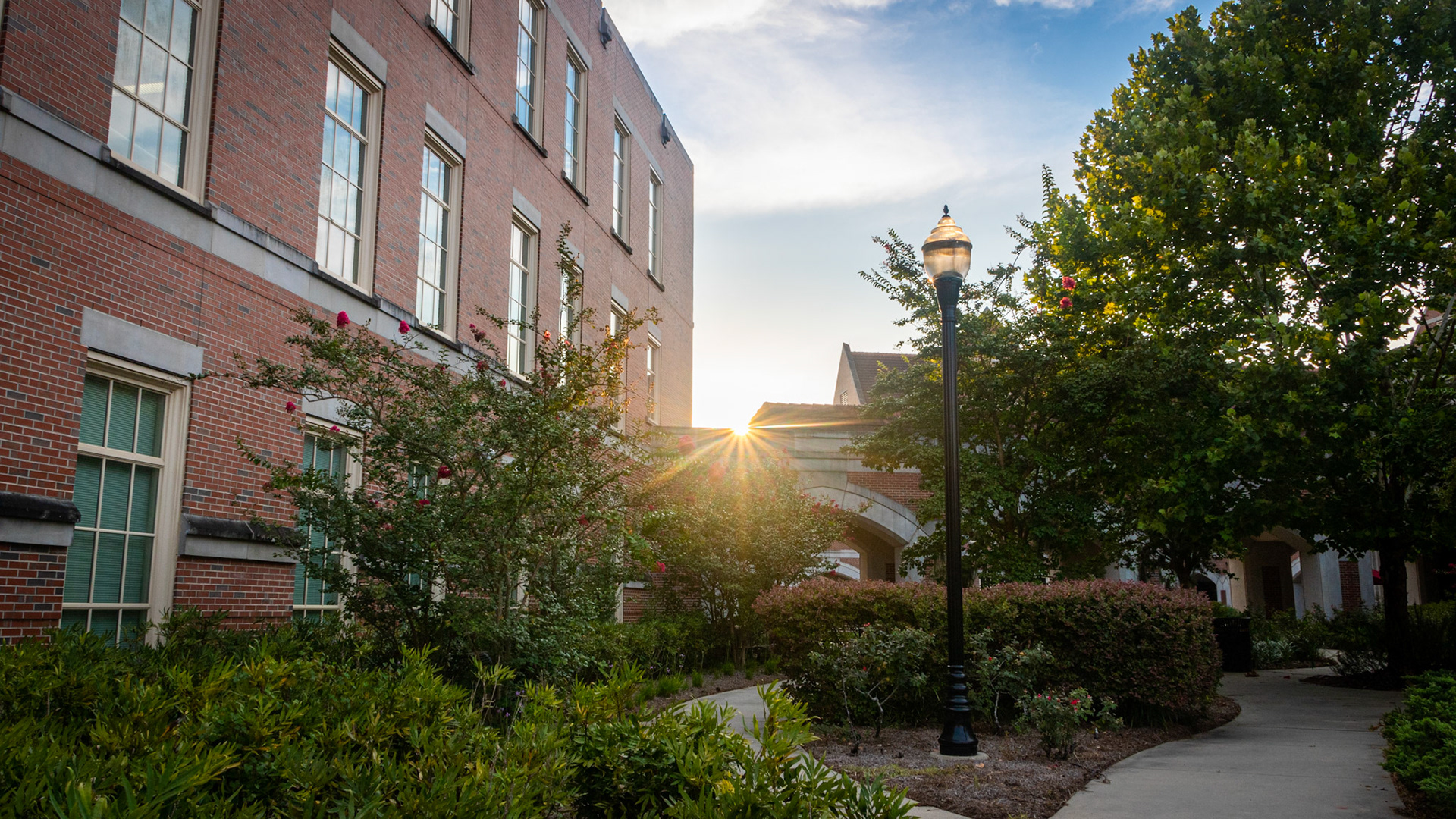 College of Medicine Sunset
