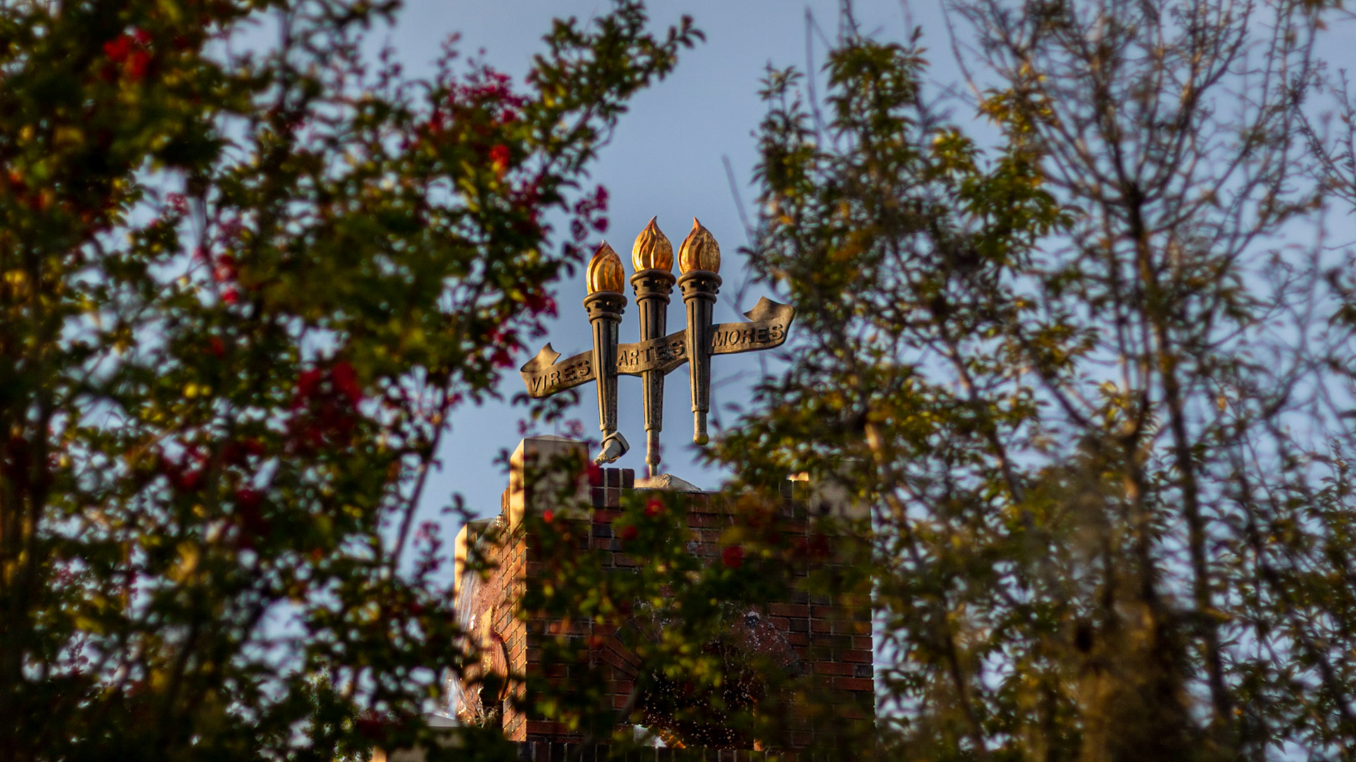 Natural Frame: Vires, Artes, Mores