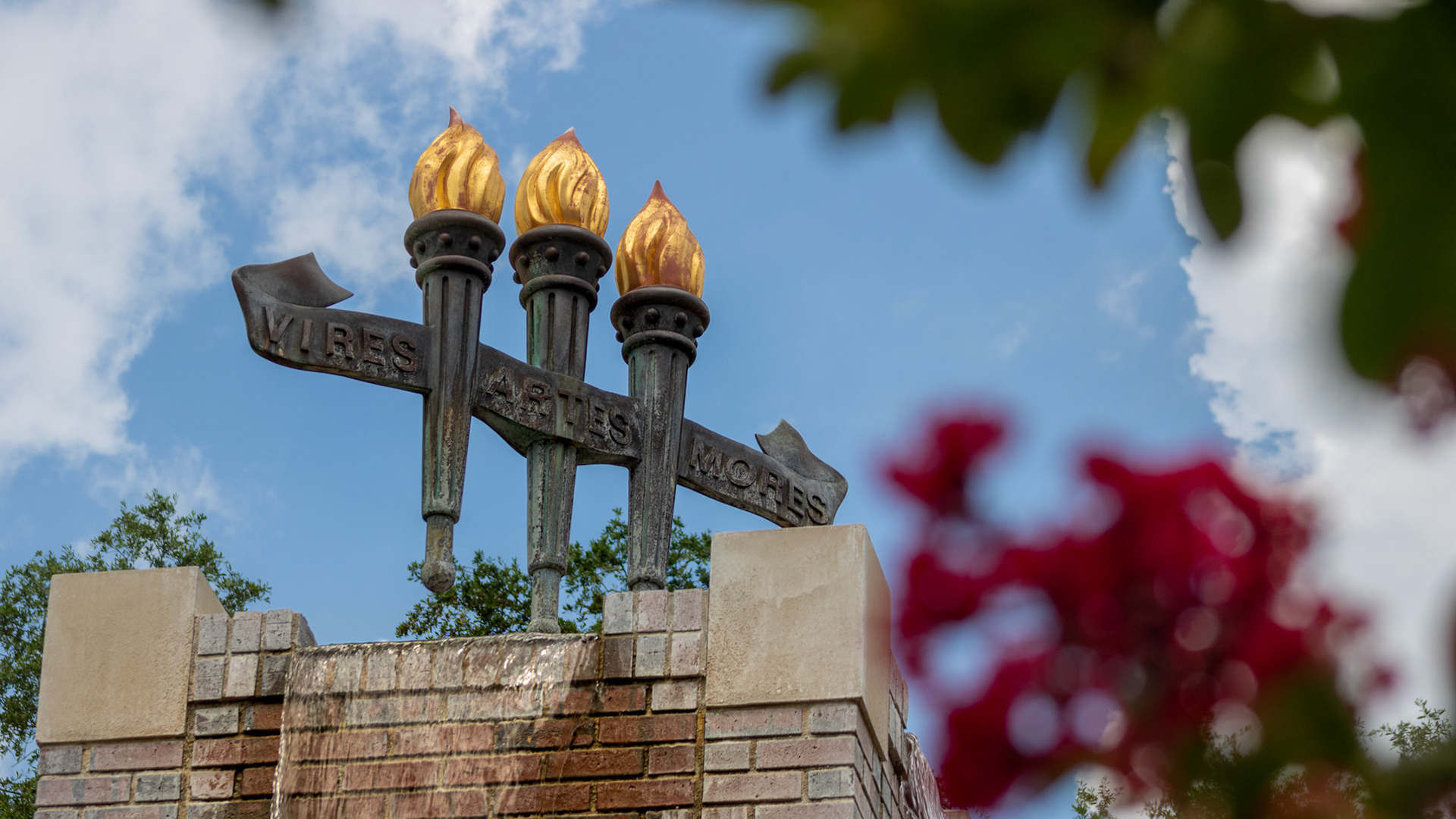 Vires, Artes, Mores Close-up