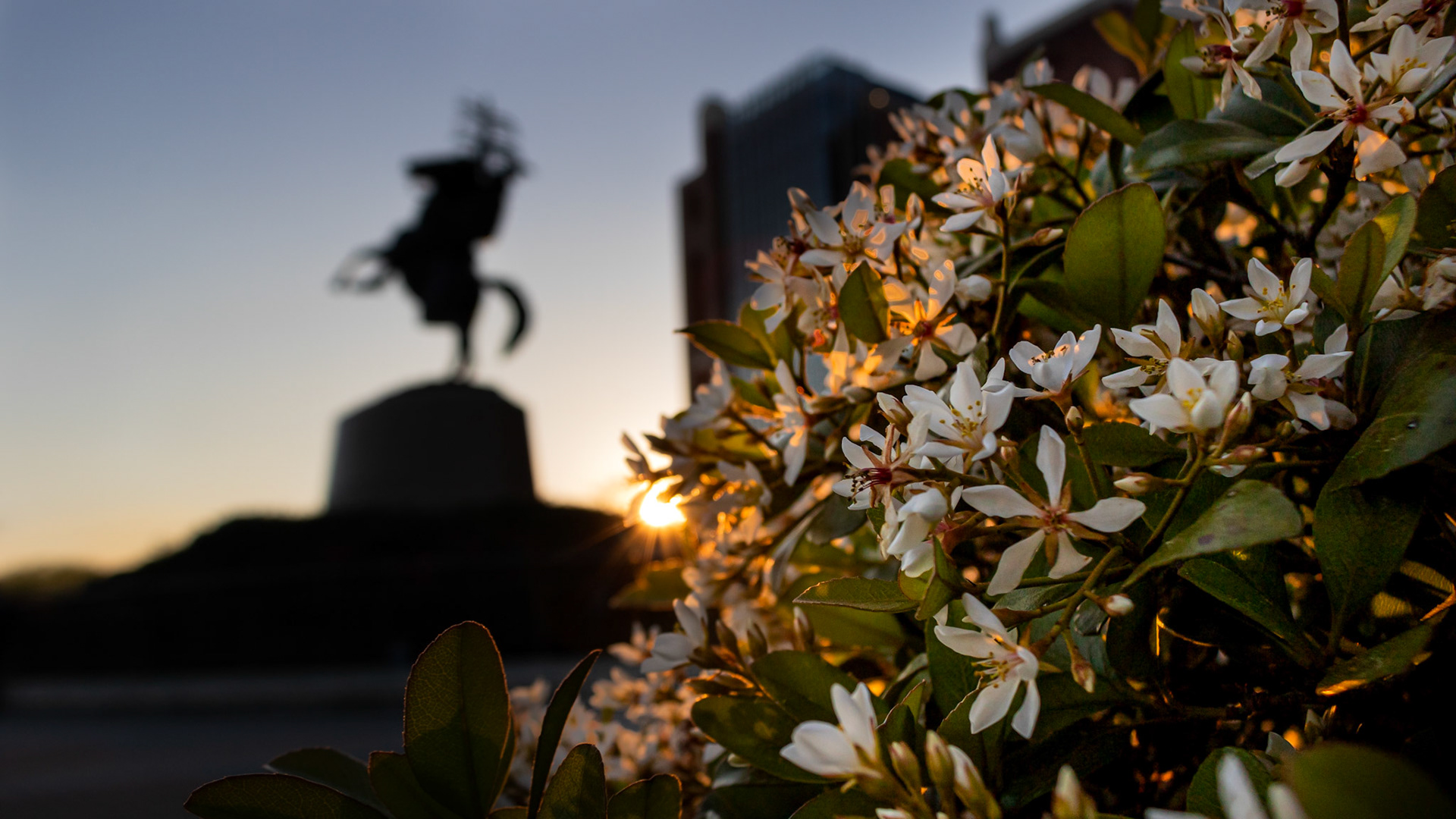 Unconquered Statue Sunset