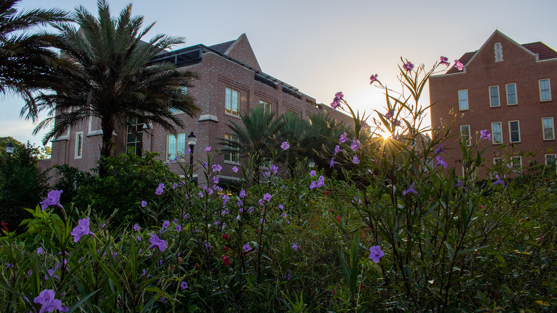 Honors and Scholarship Building