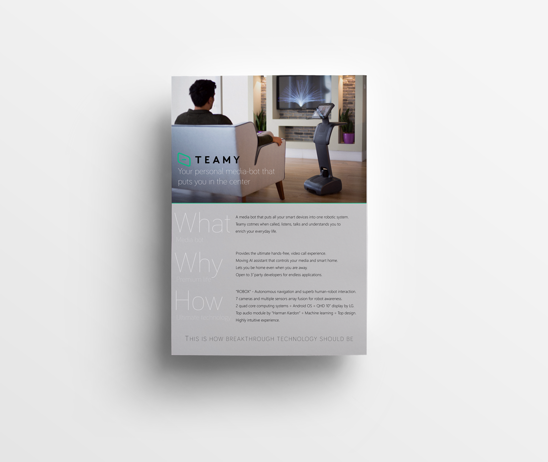 Poster for temi company