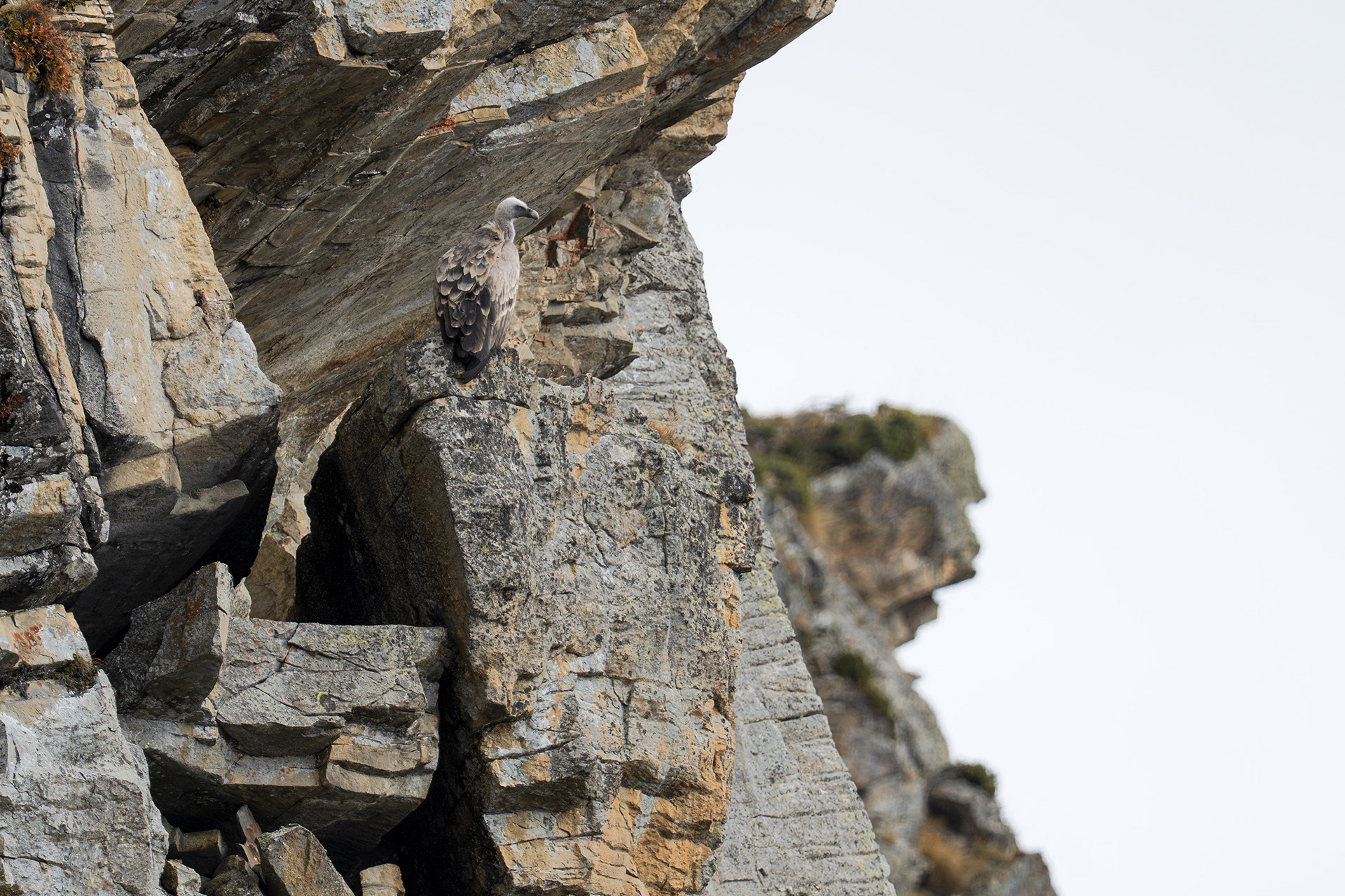 ..giornate uggiose e fredde, le rocce offrono dei buoni ripari dove osservare la vita al di sotto..