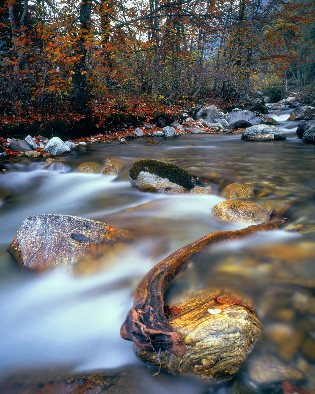 Valle Gesso, T. Bousset - Fuji Velvia 50 4x5