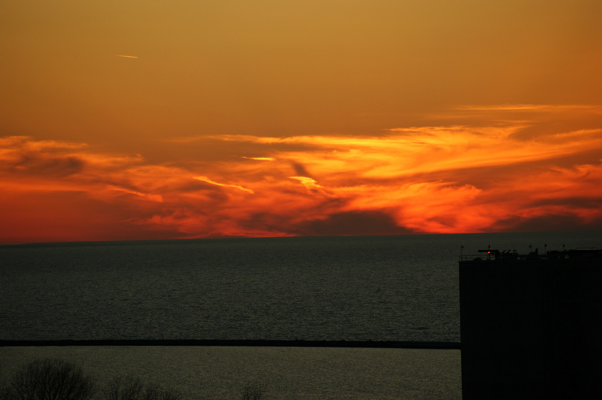 SONY DSC