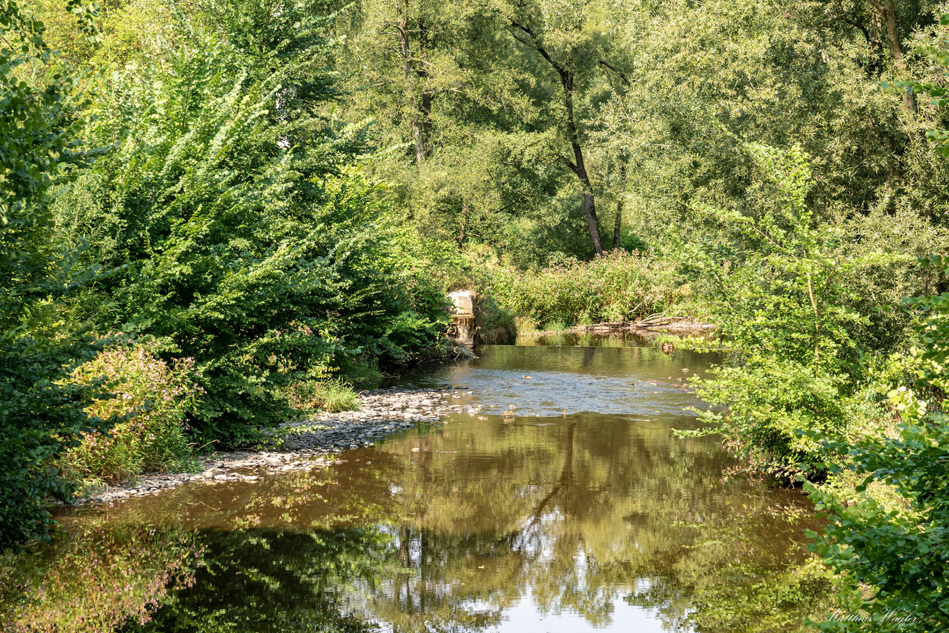 River Göltzsch near Mühlwand/ Saxony/ Germany