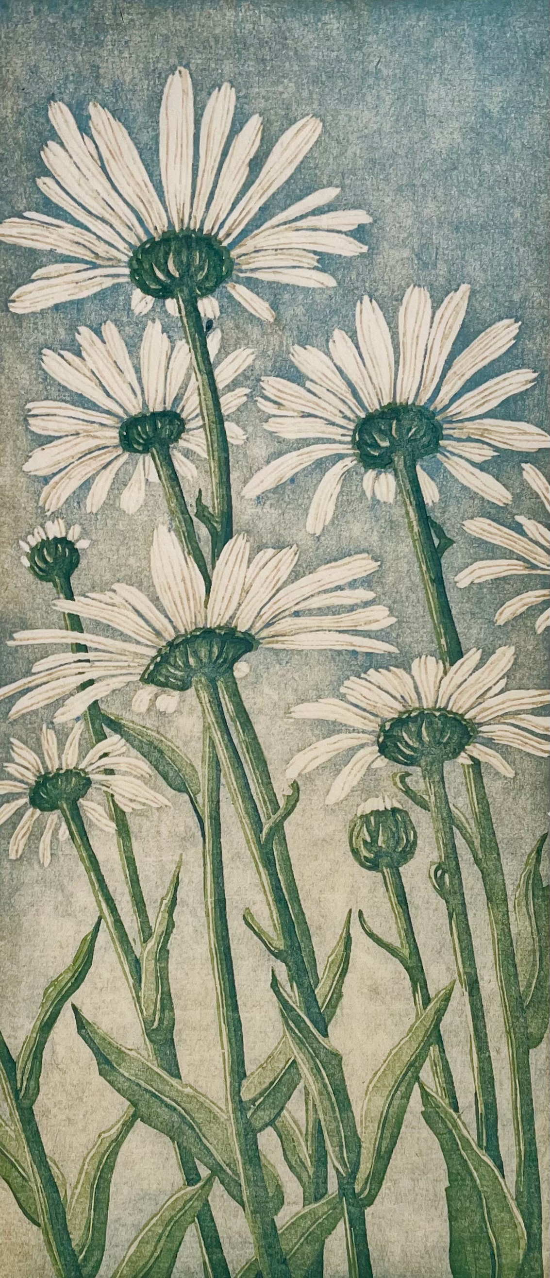 Daisies