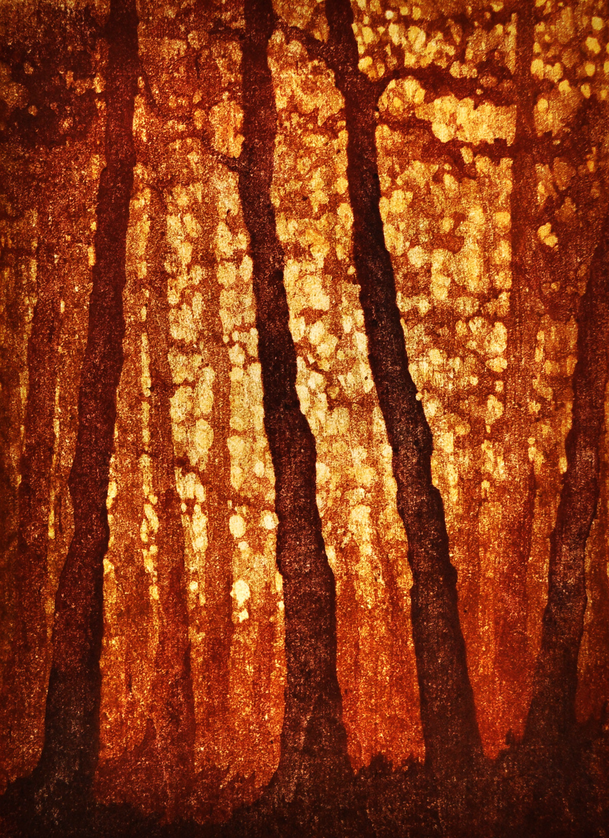 Forest No. 7