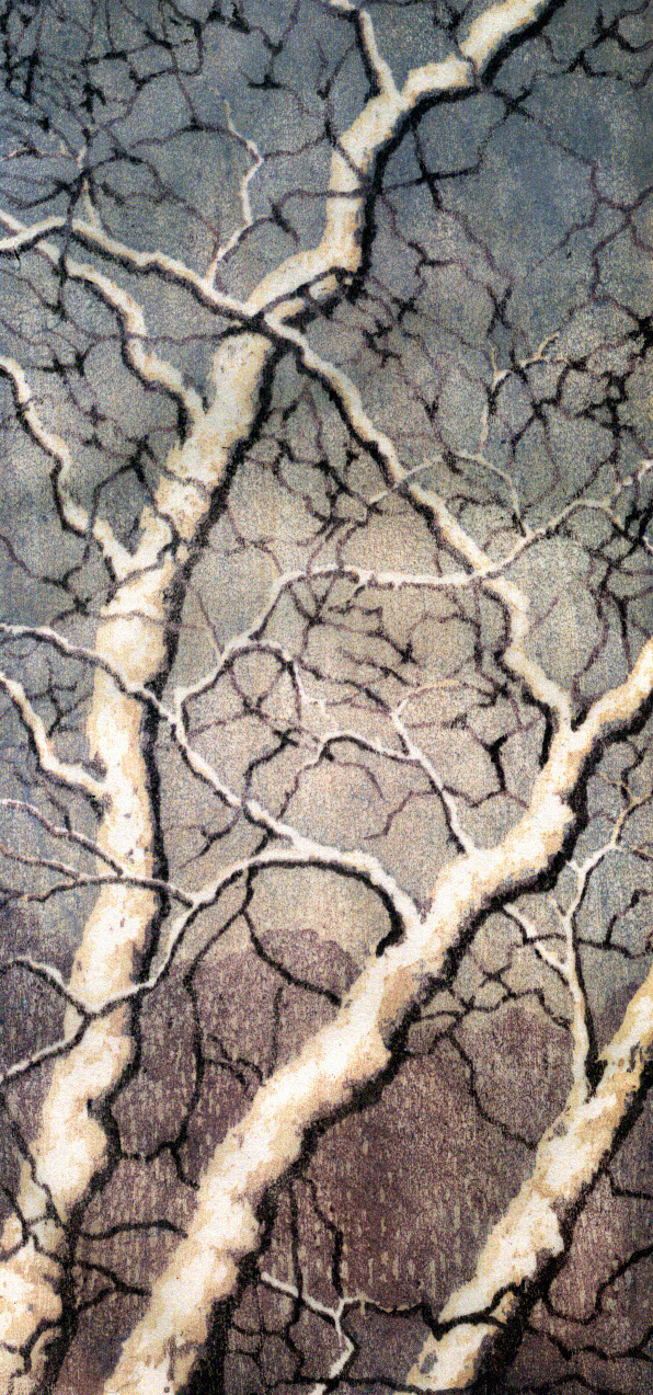 Sycamore No. 3