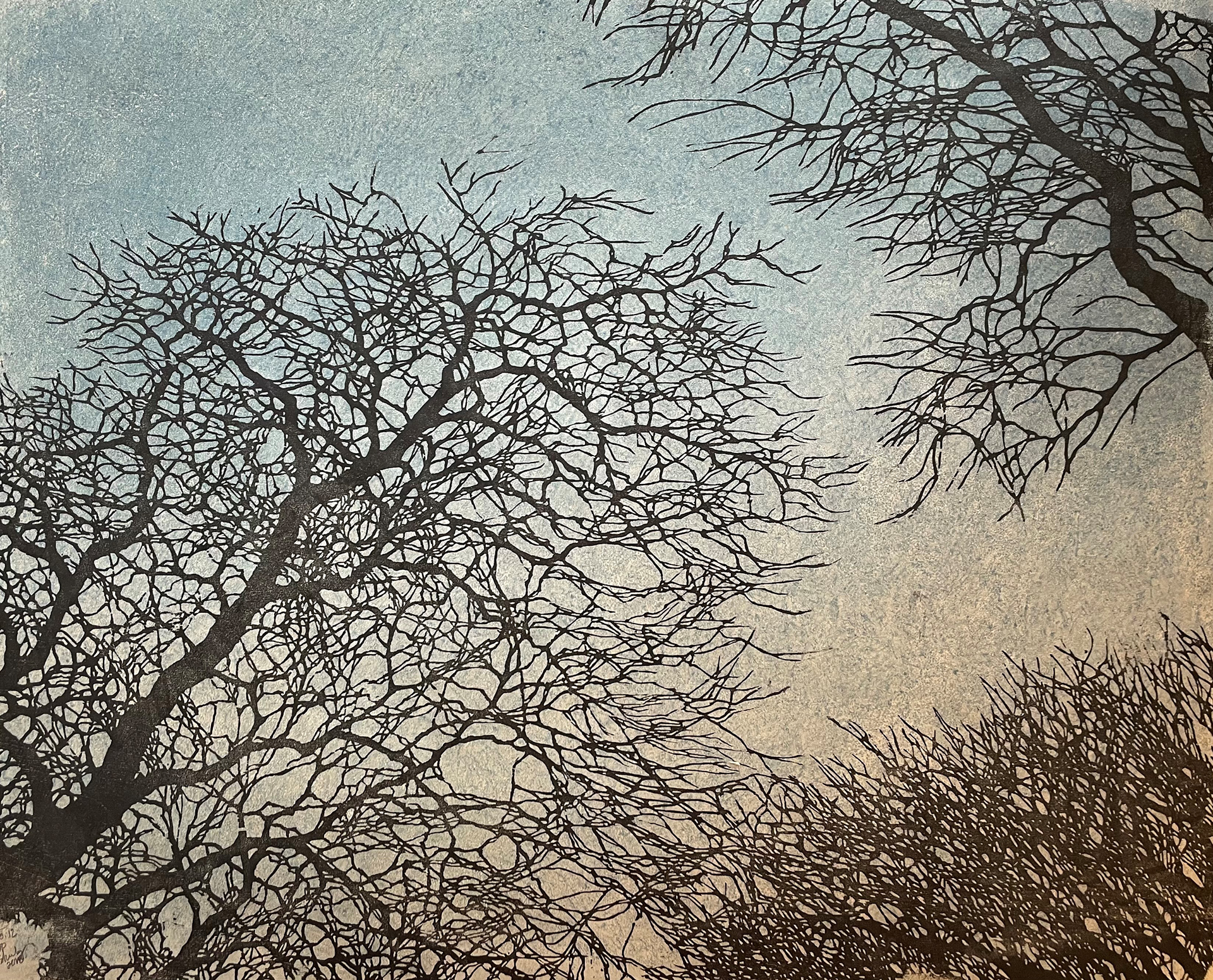 Tree No. 12