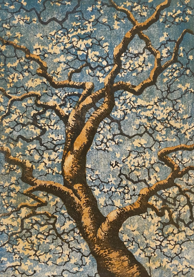 Tree No. 34