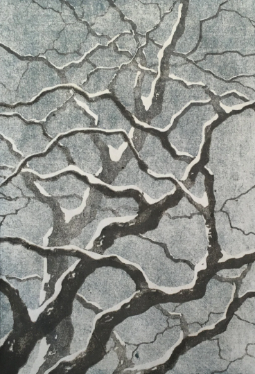Tree No. 20