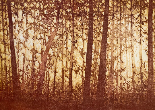 Forest No. 12
