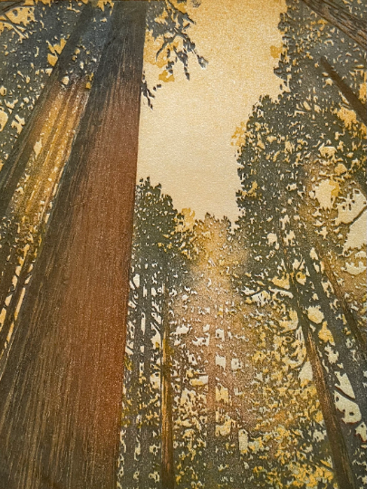 Forest No. 19 V1