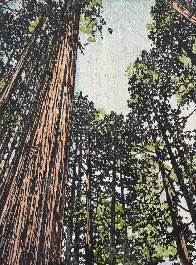 Forest No 19 V2