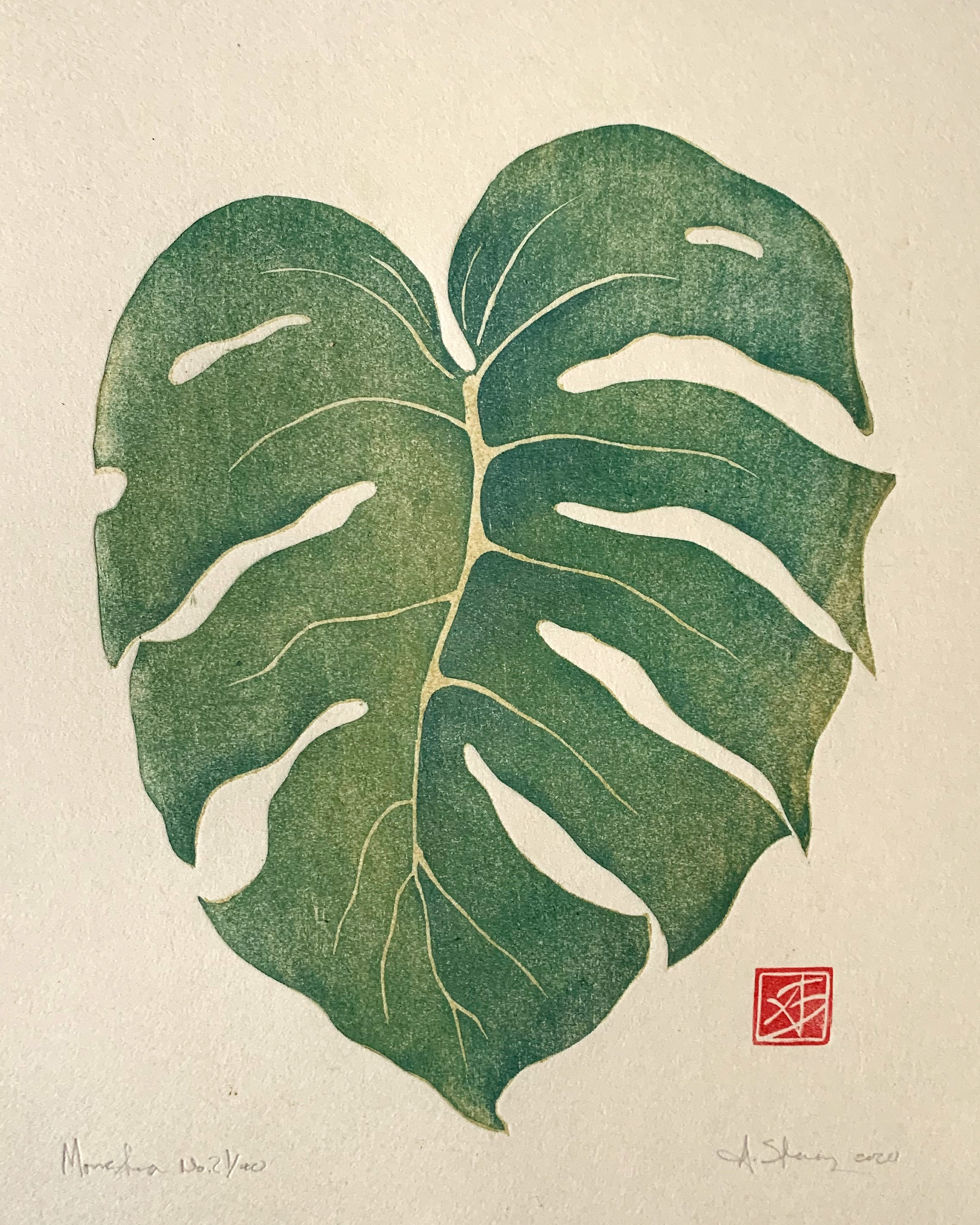 Monstera No. 2